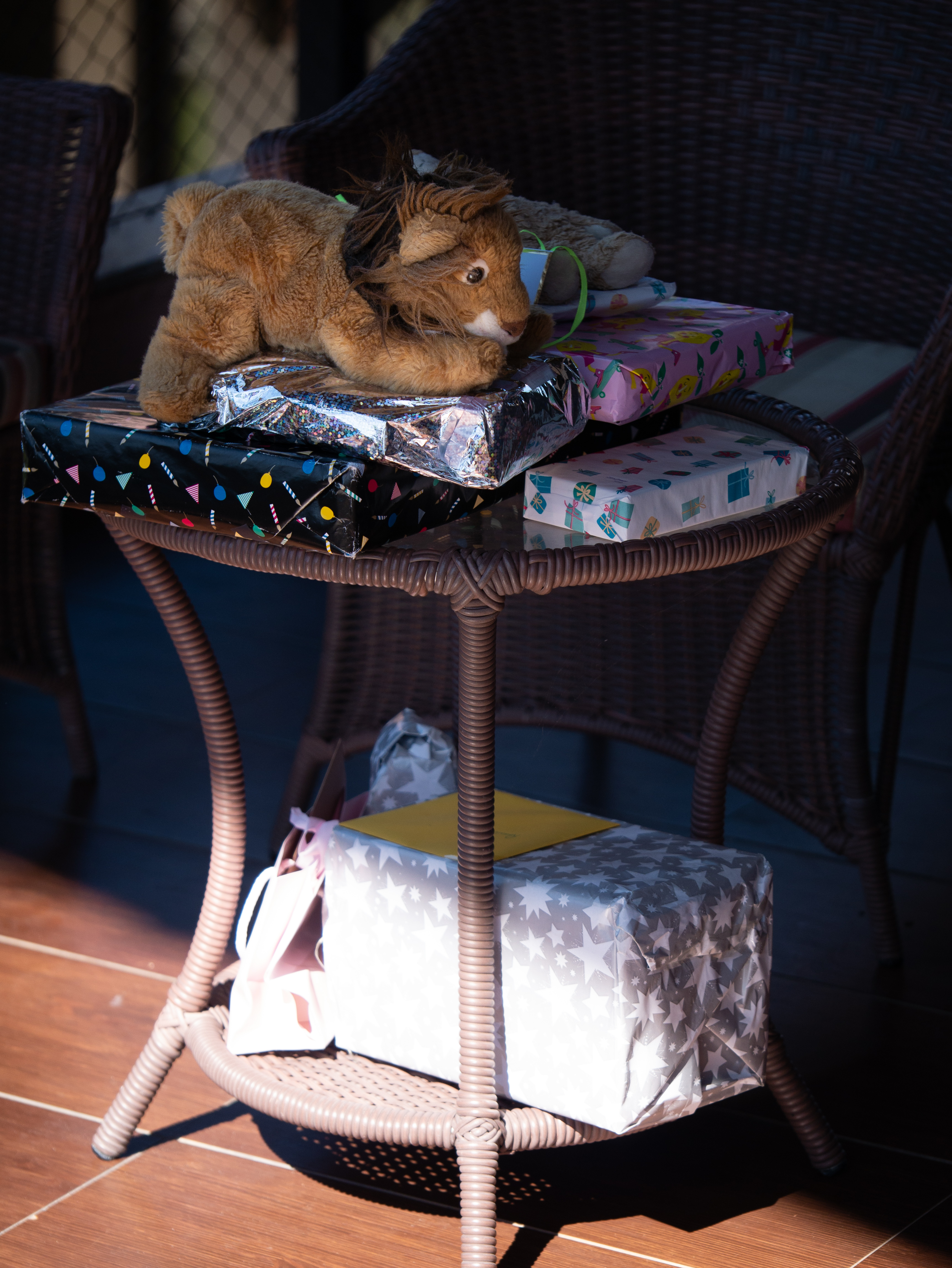 Lion guards the presents