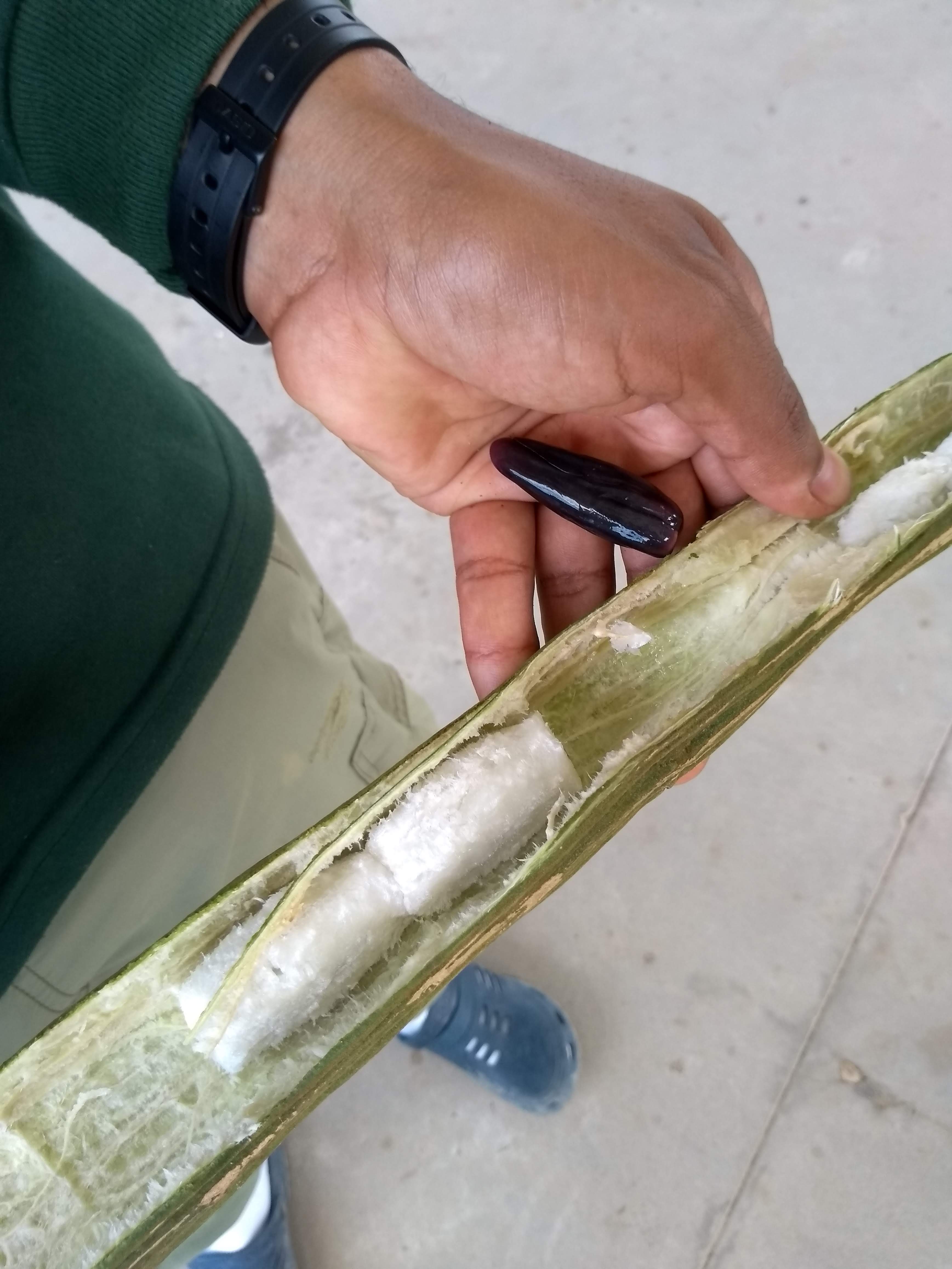 IMG_20180813_101824898