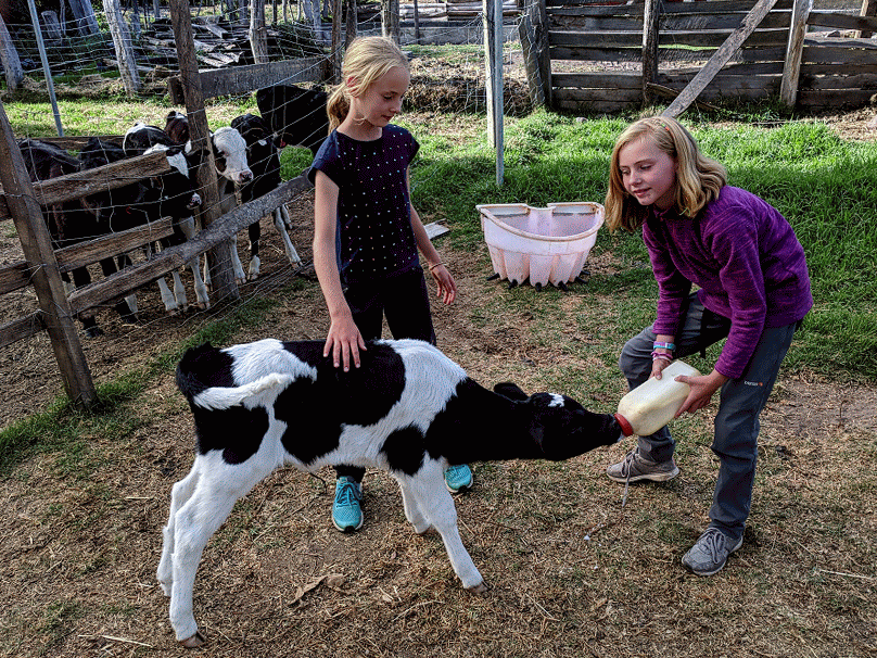 IMG_20180824_160745-ANIMATION