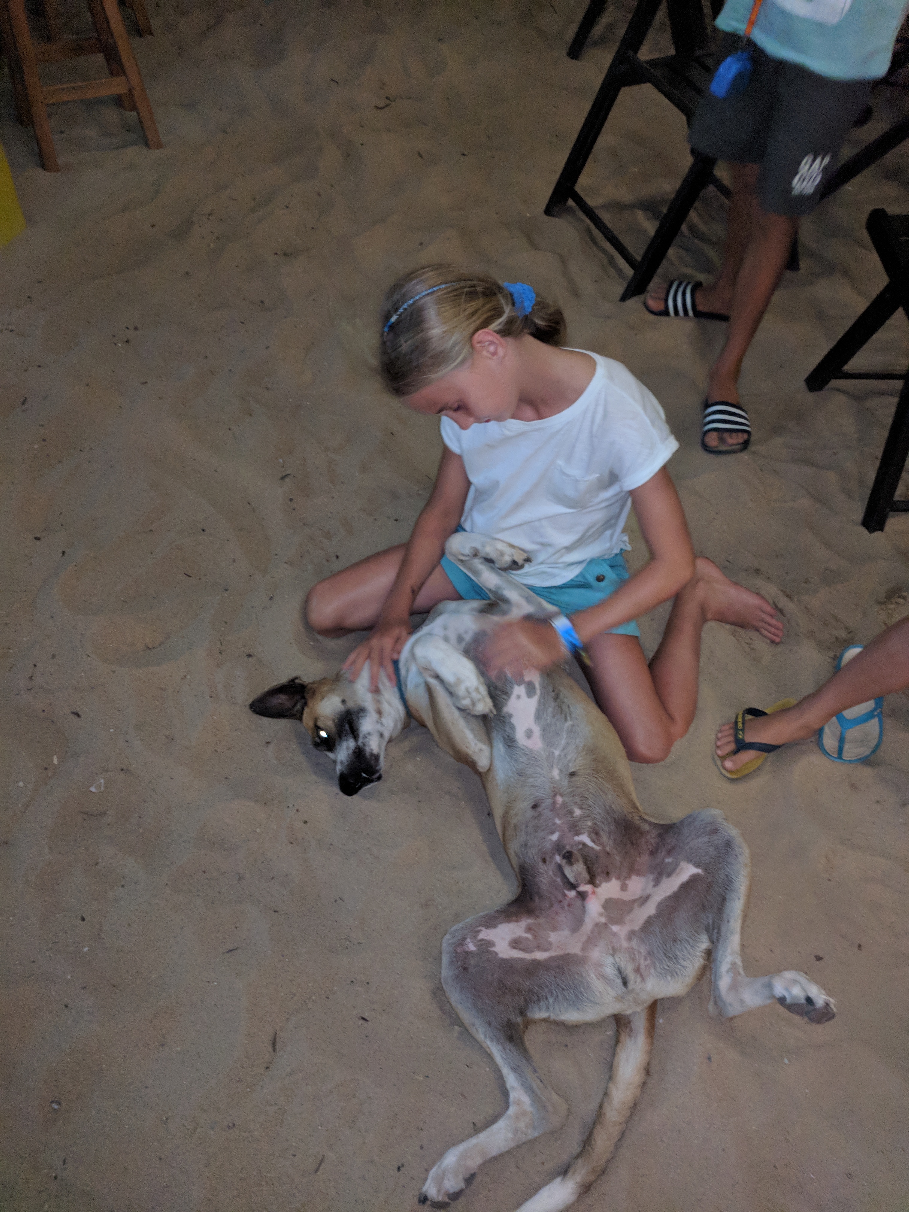 IMG_20180730_211917 (1)