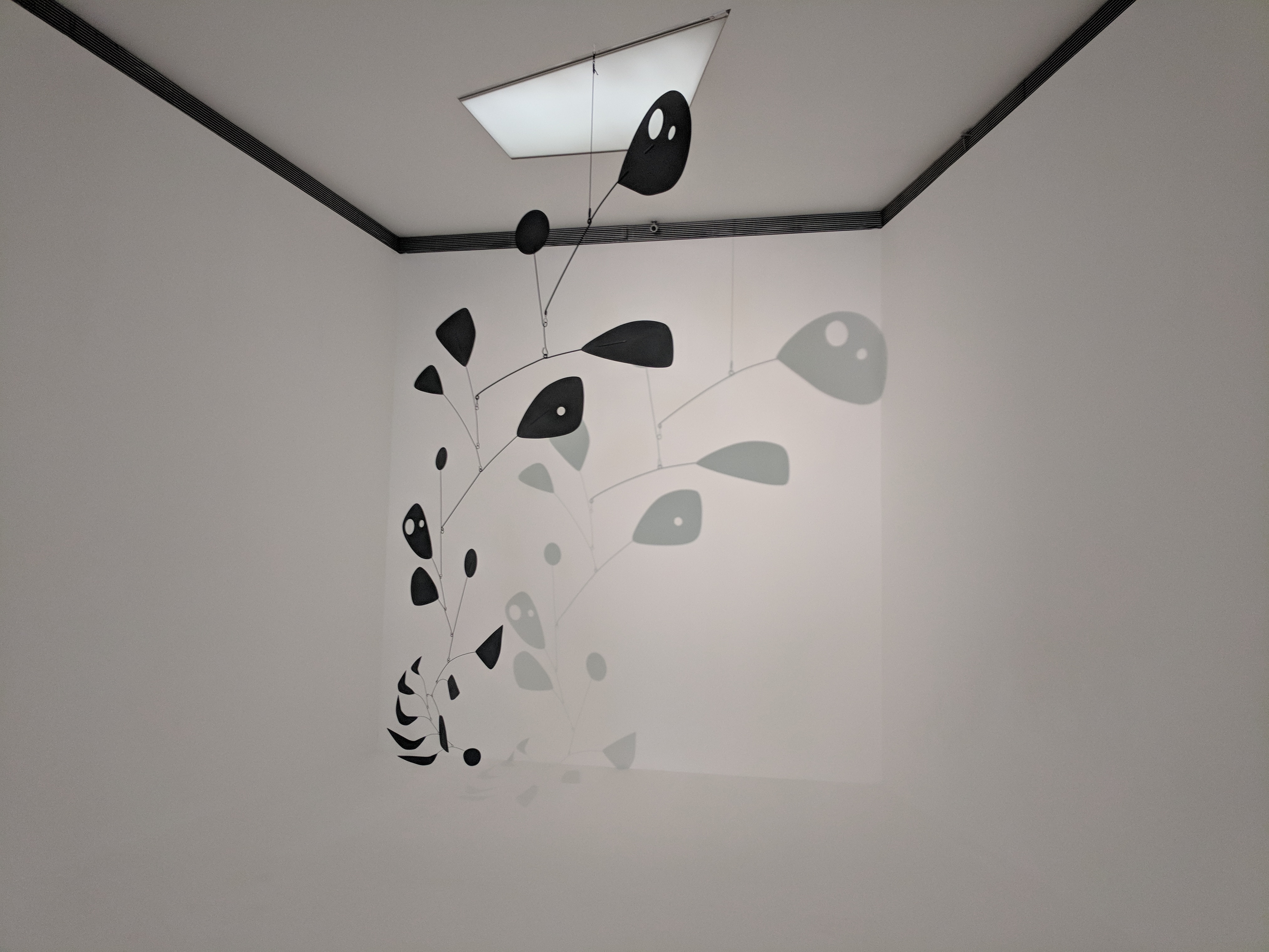 IMG_20180922_153750 (1)