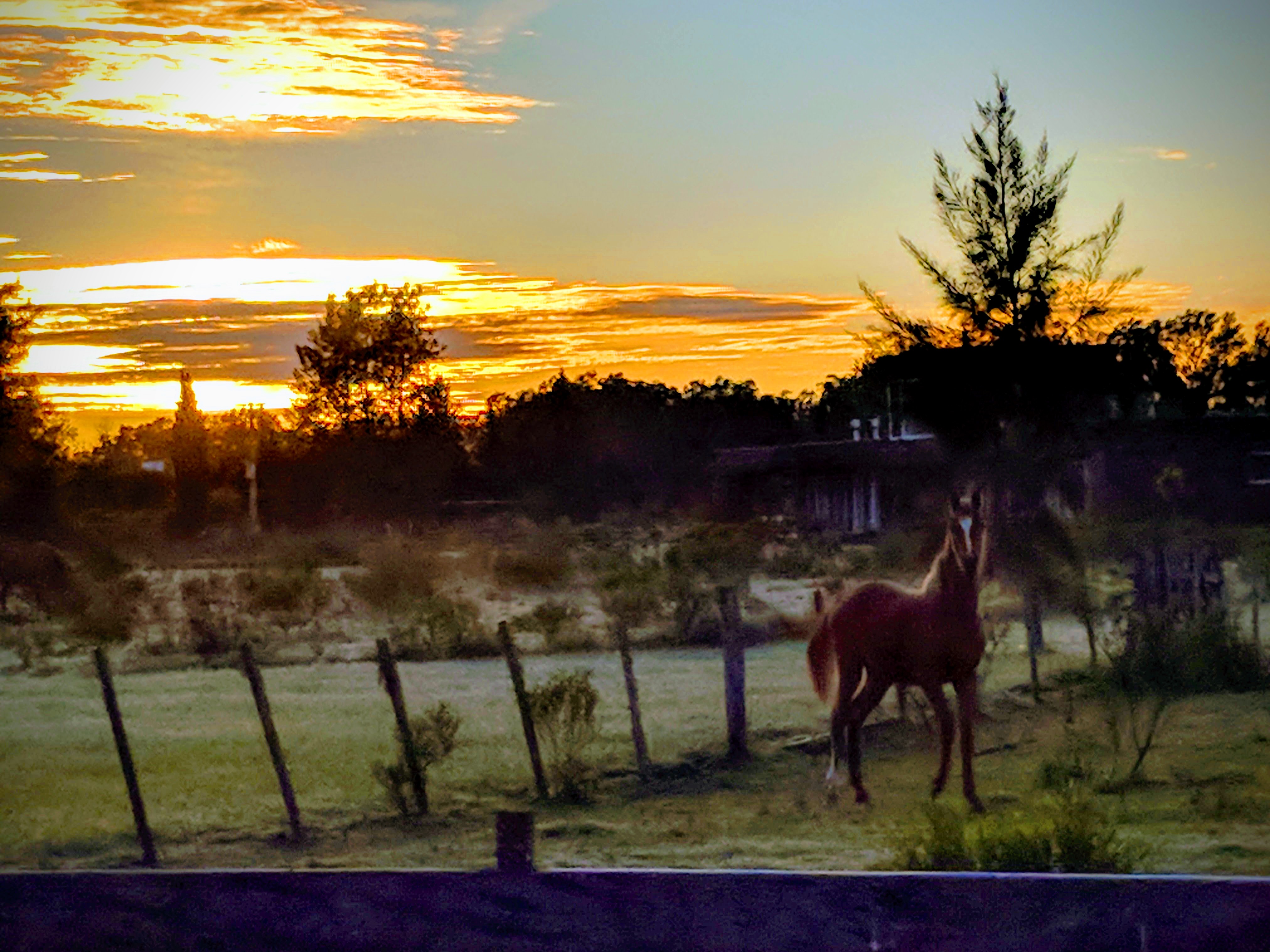 IMG_20181002_065048-EFFECTS