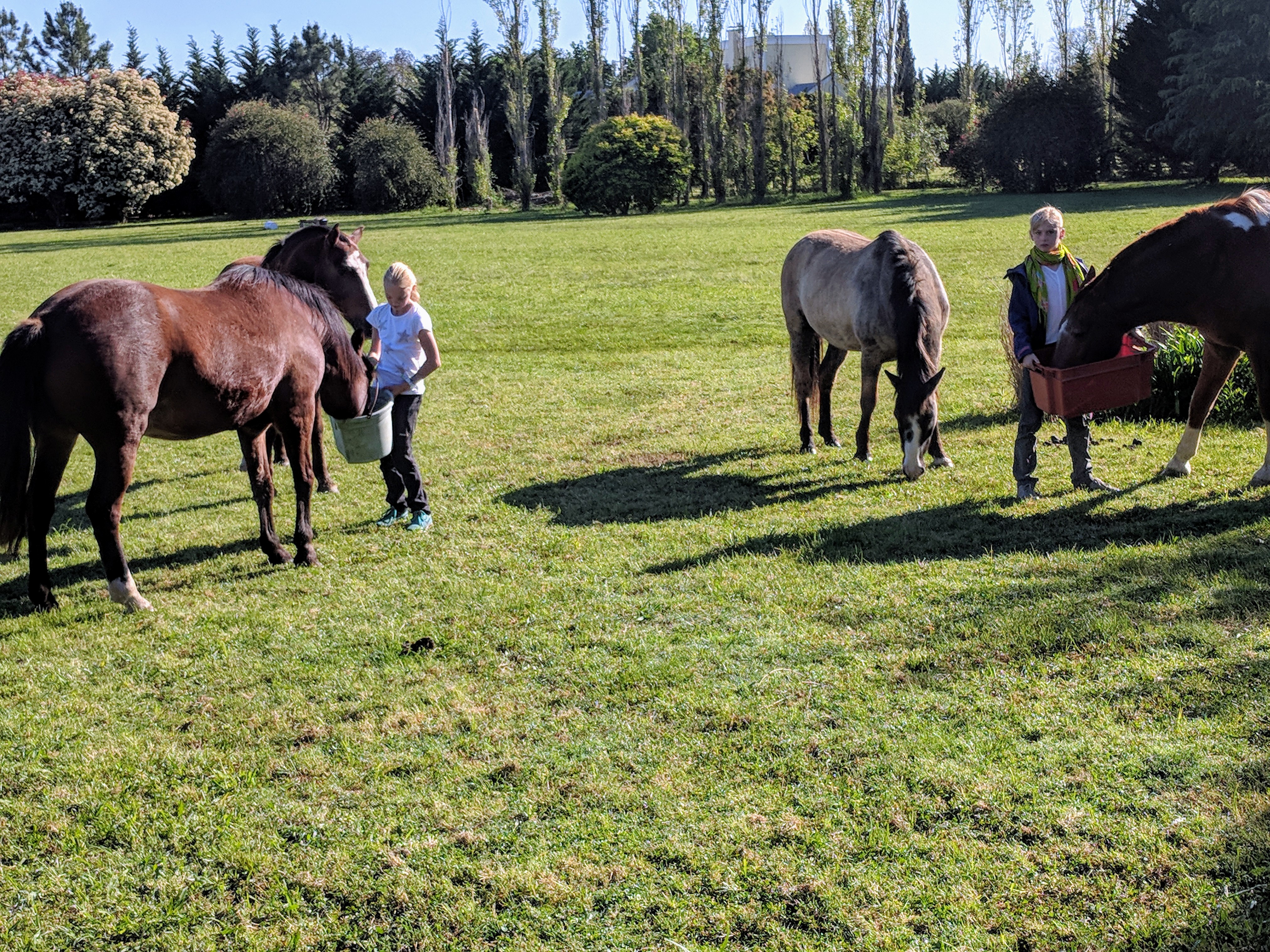 IMG_20181005_085231 (1)