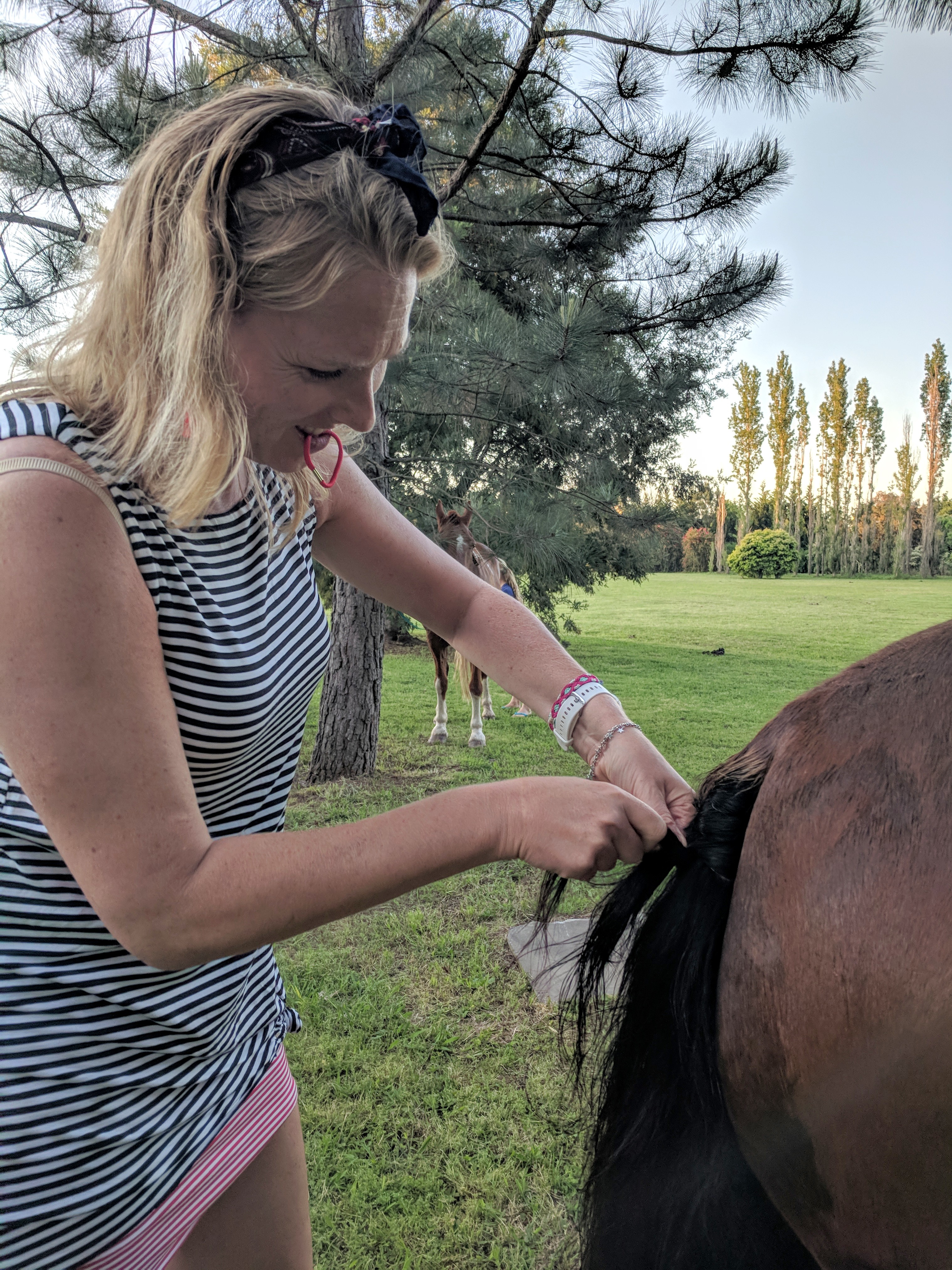 IMG_20181013_184644 (1)