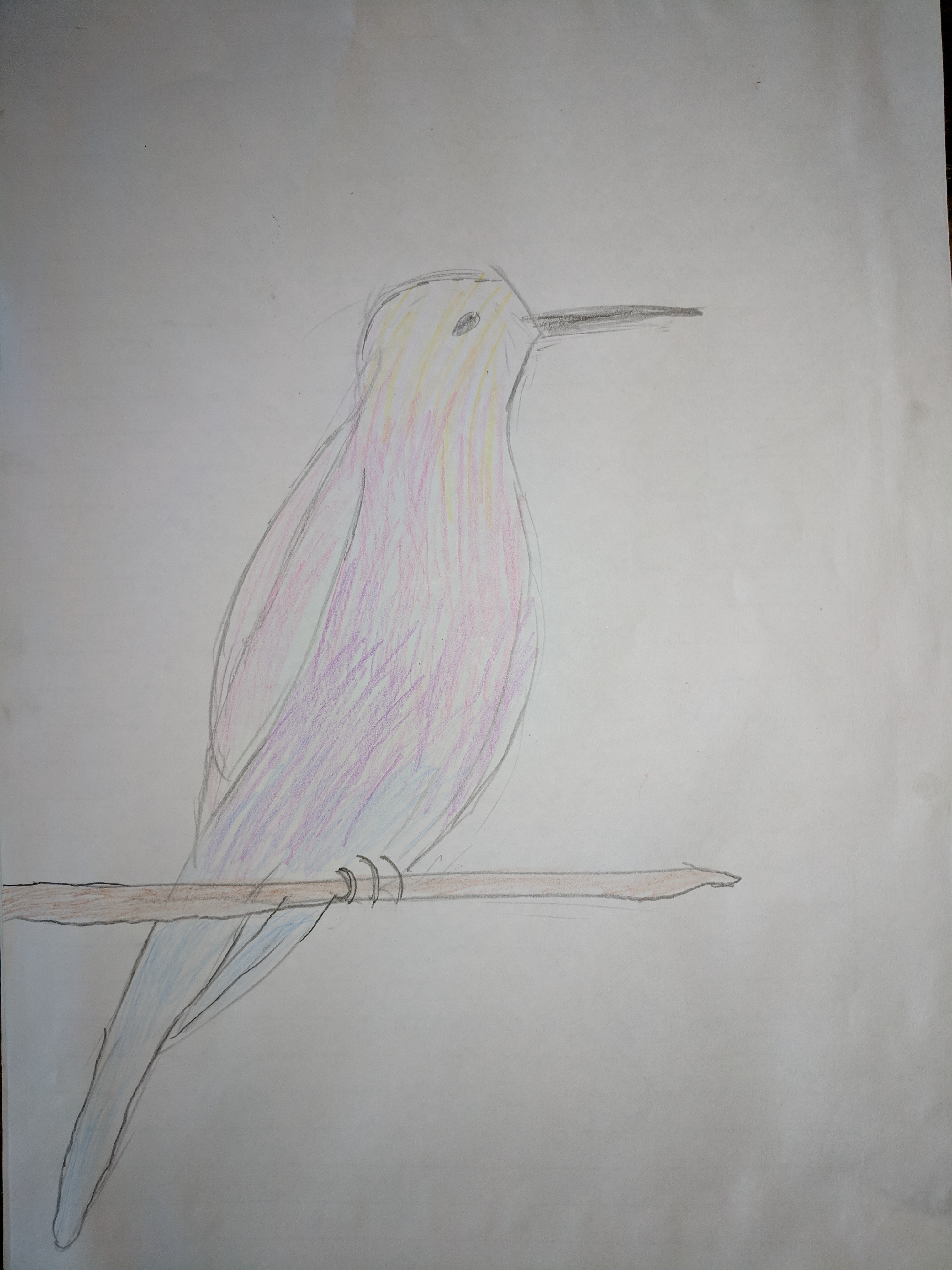 Hermione the Humming Bird