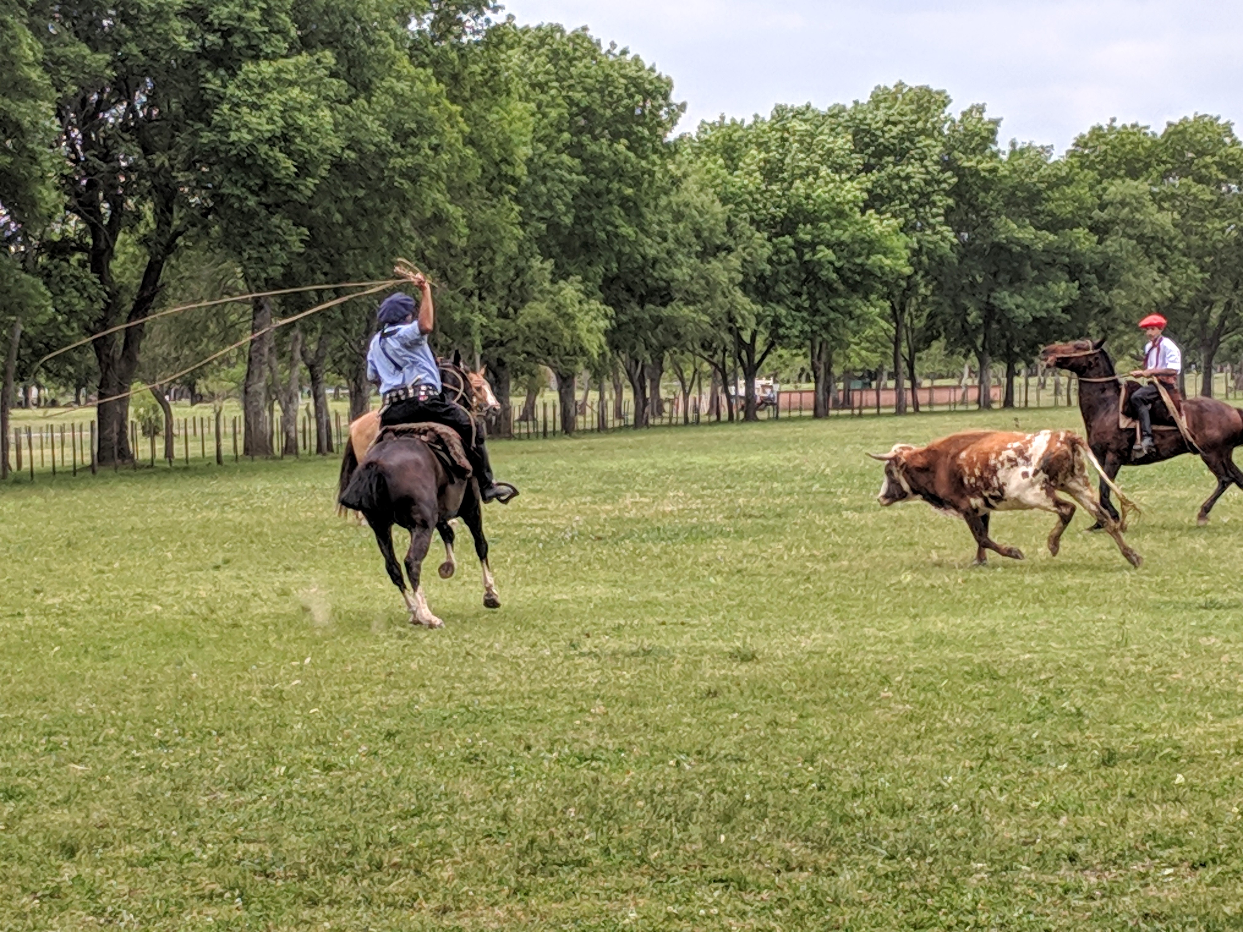 IMG_20181110_124310 (2)