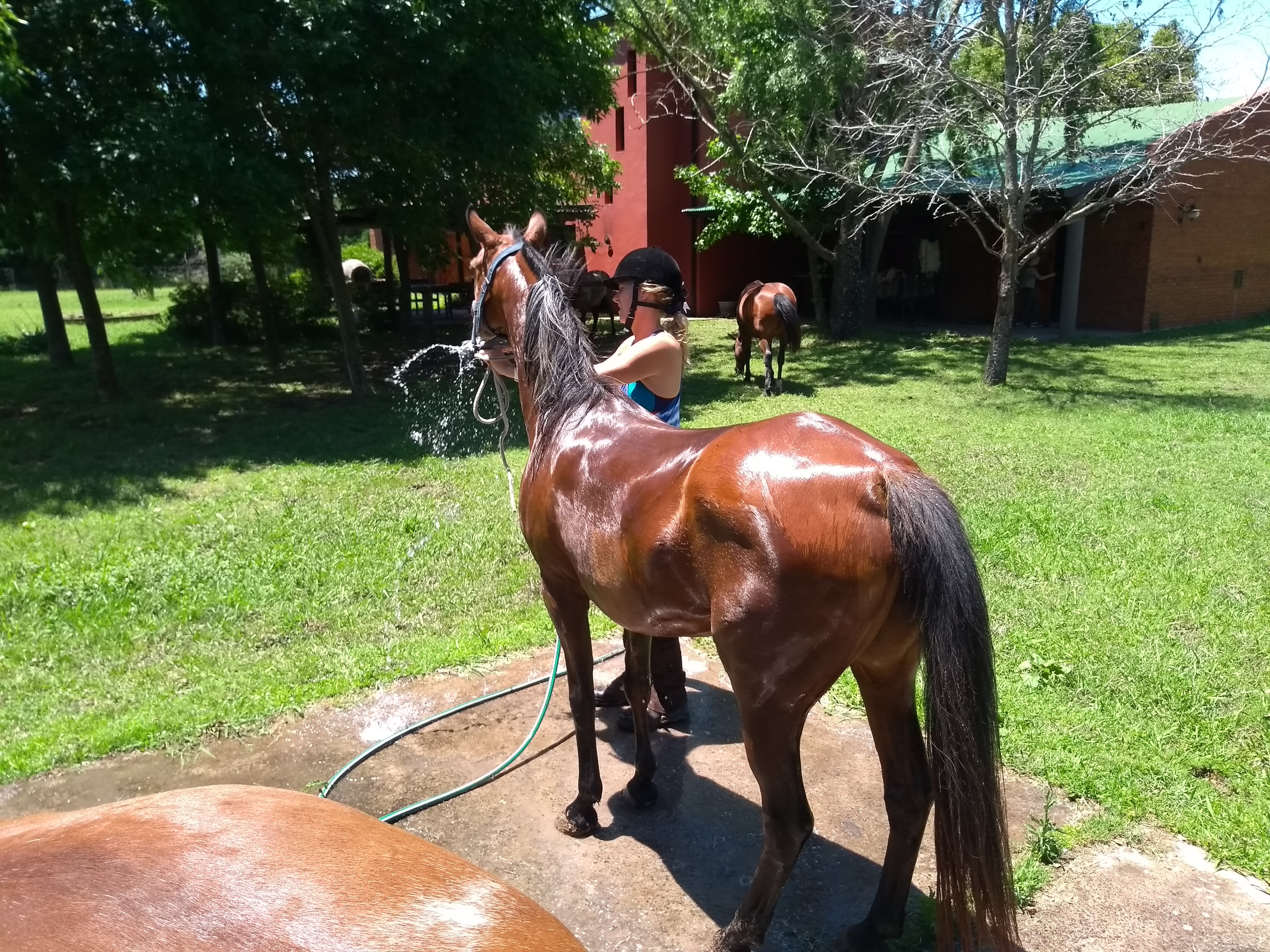 IMG_20181115_125517058