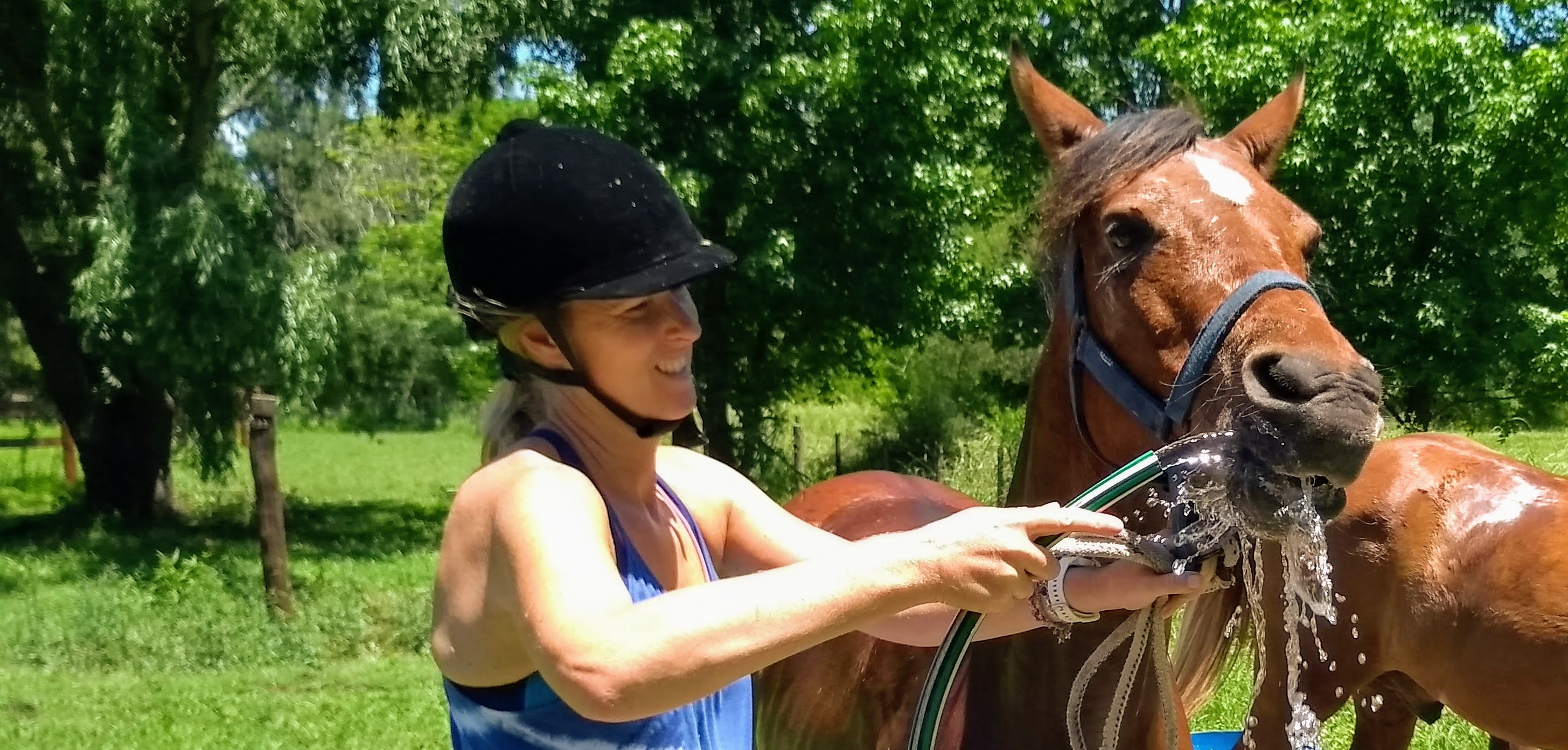 IMG_20181115_125540304 (1)