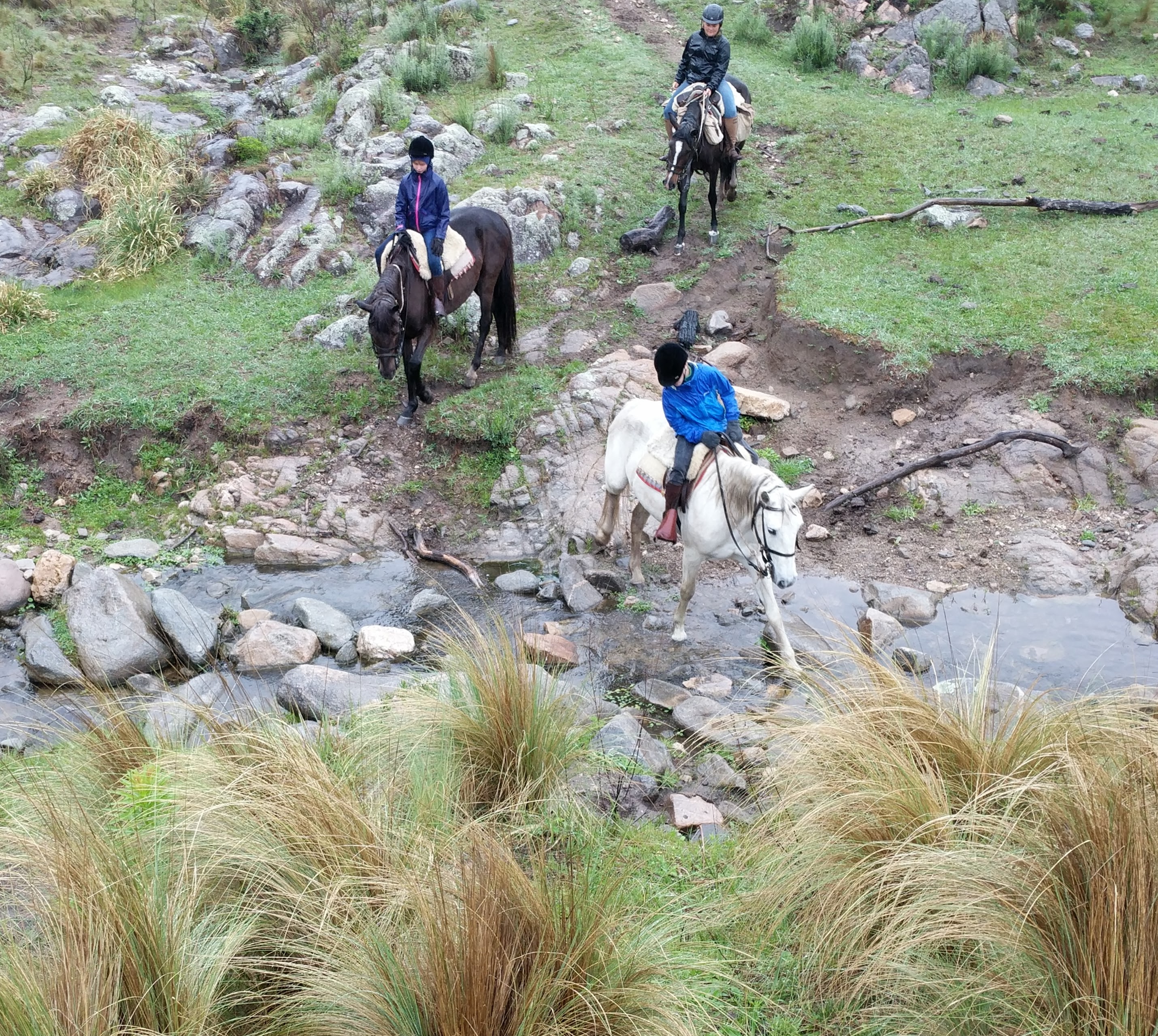 00002IMG_00002_BURST20181023105724_COVER