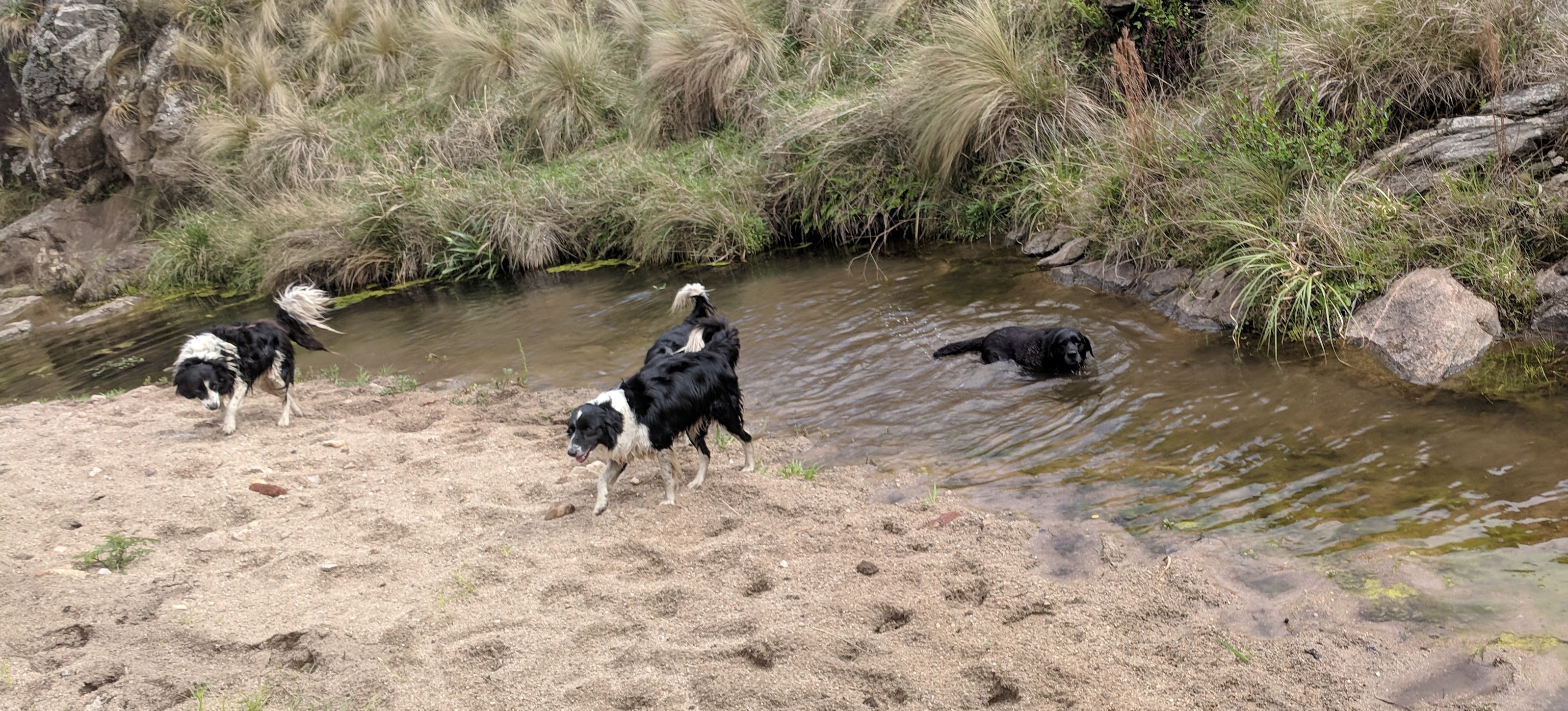 IMG_20181021_102558 (1)