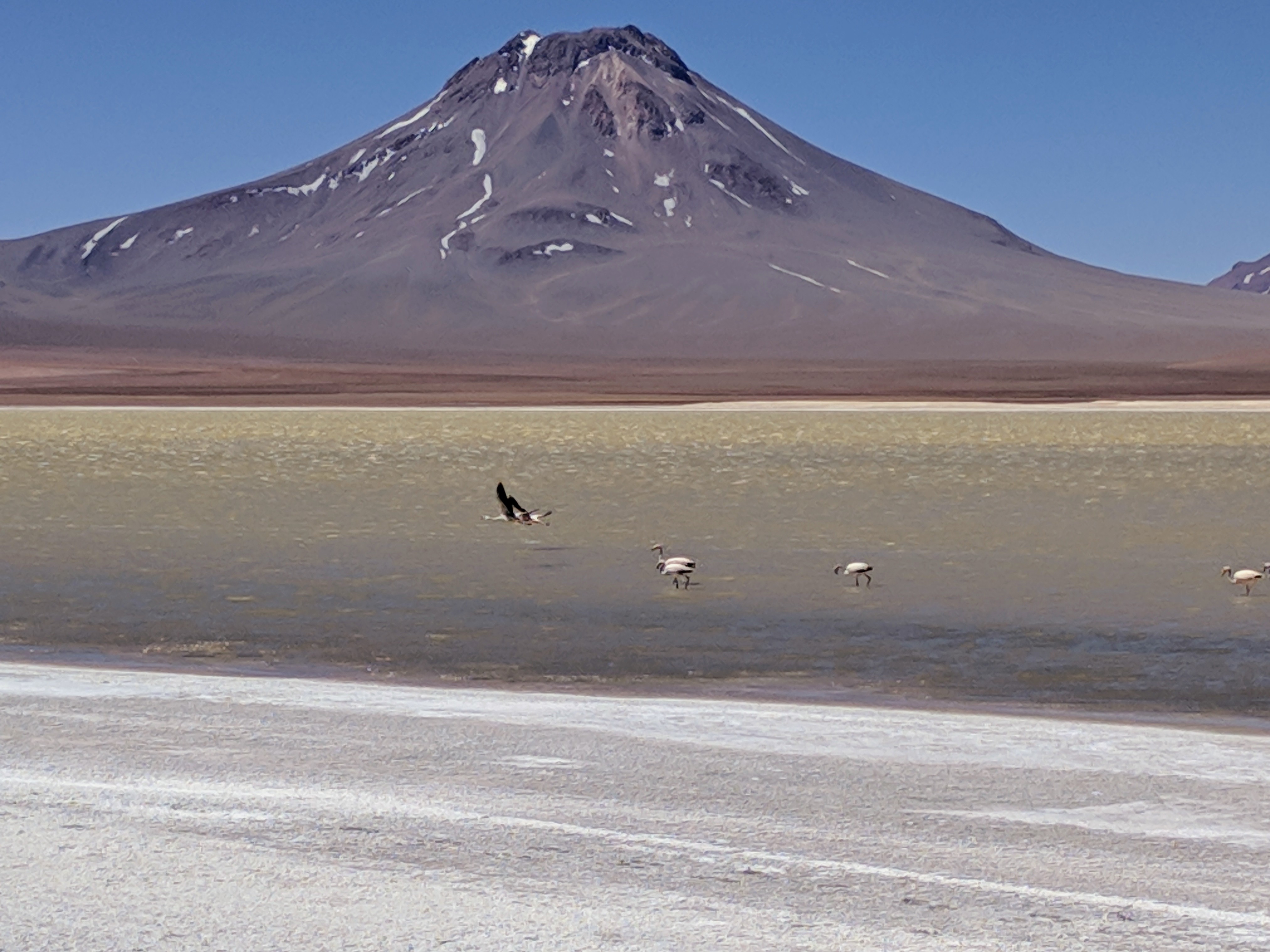 IMG_20181206_151305_1