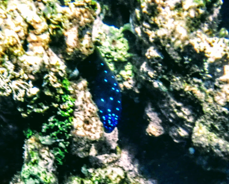 2019_0104_17082039 (1)