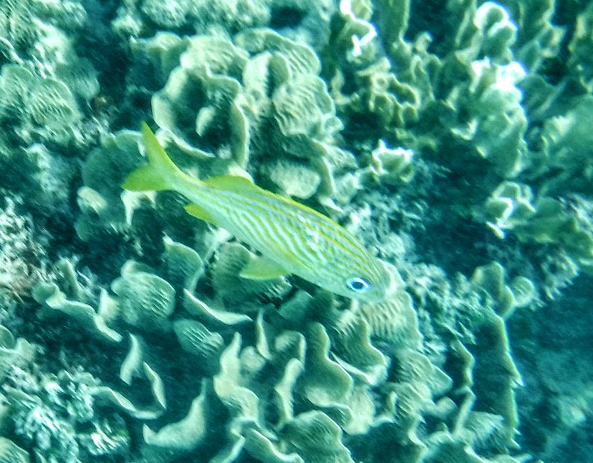 2019_0104_17082807 (1)