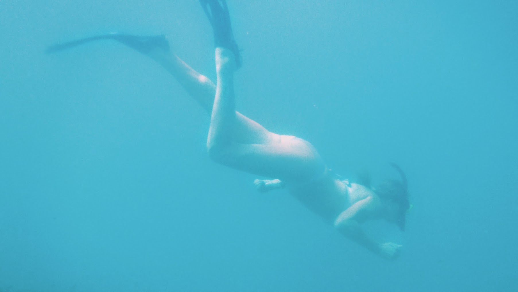 2019_0104_17091710 (1)