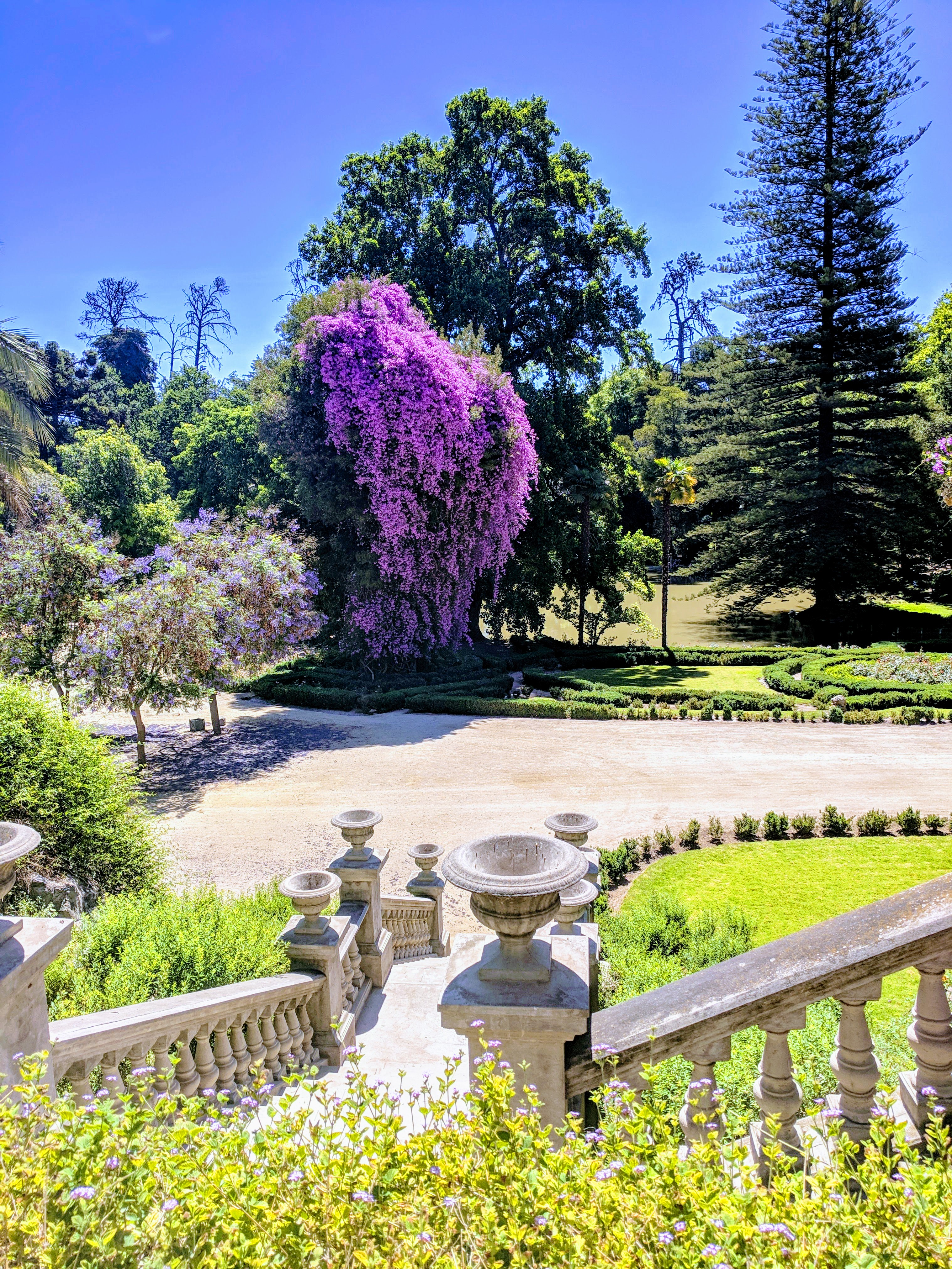 IMG_20181220_153908-EFFECTS