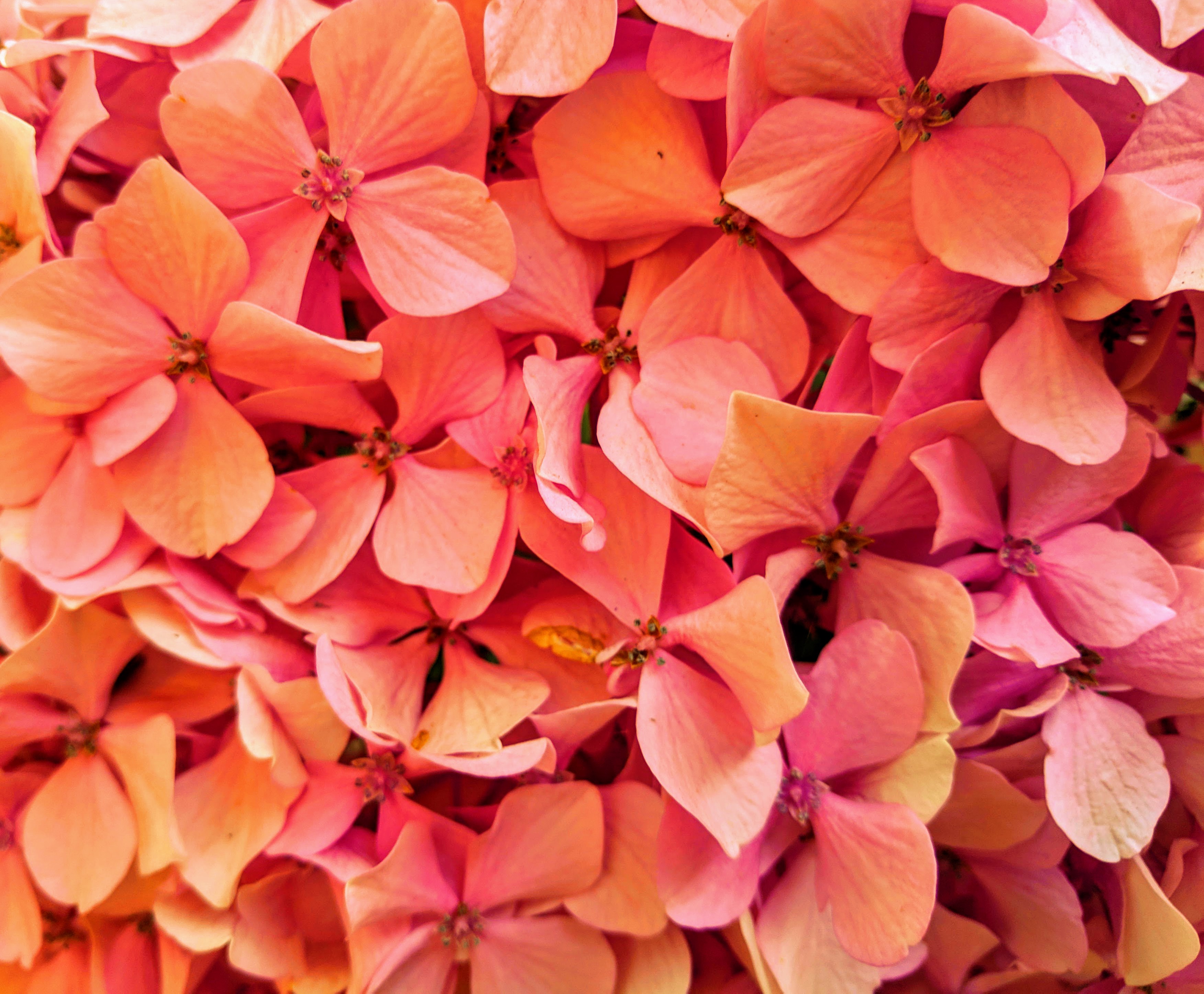 IMG_20181223_094745-EFFECTS