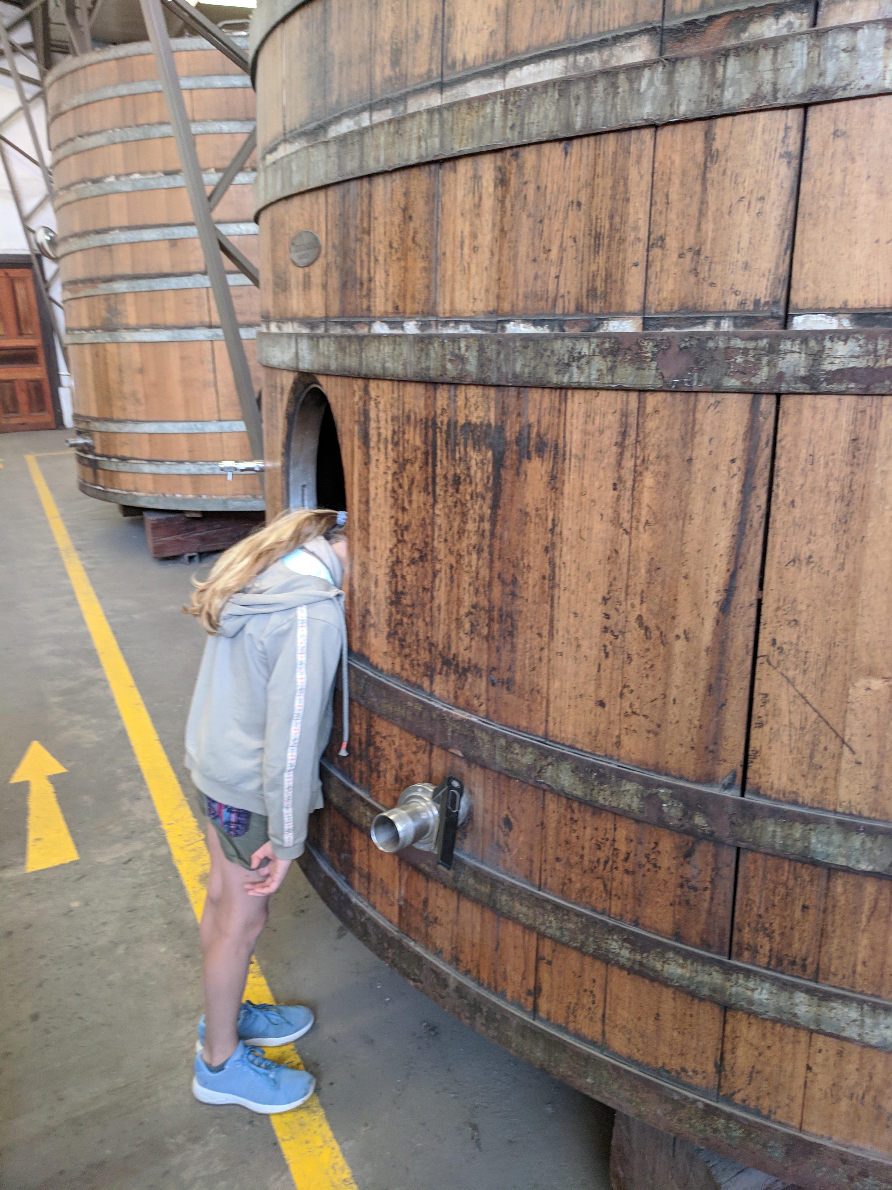 IMG_20181223_105014 (1)