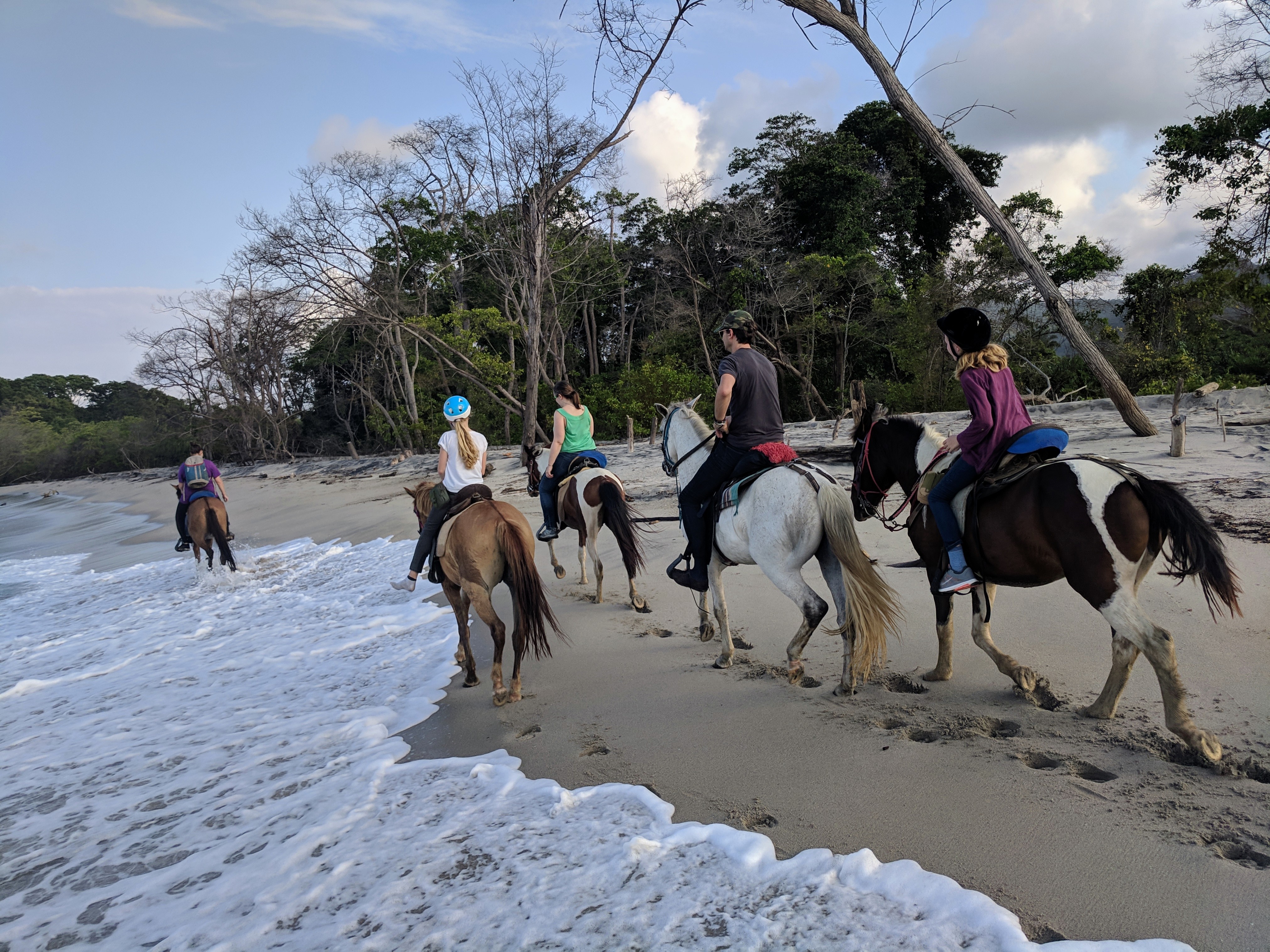 IMG_20190111_162732_1