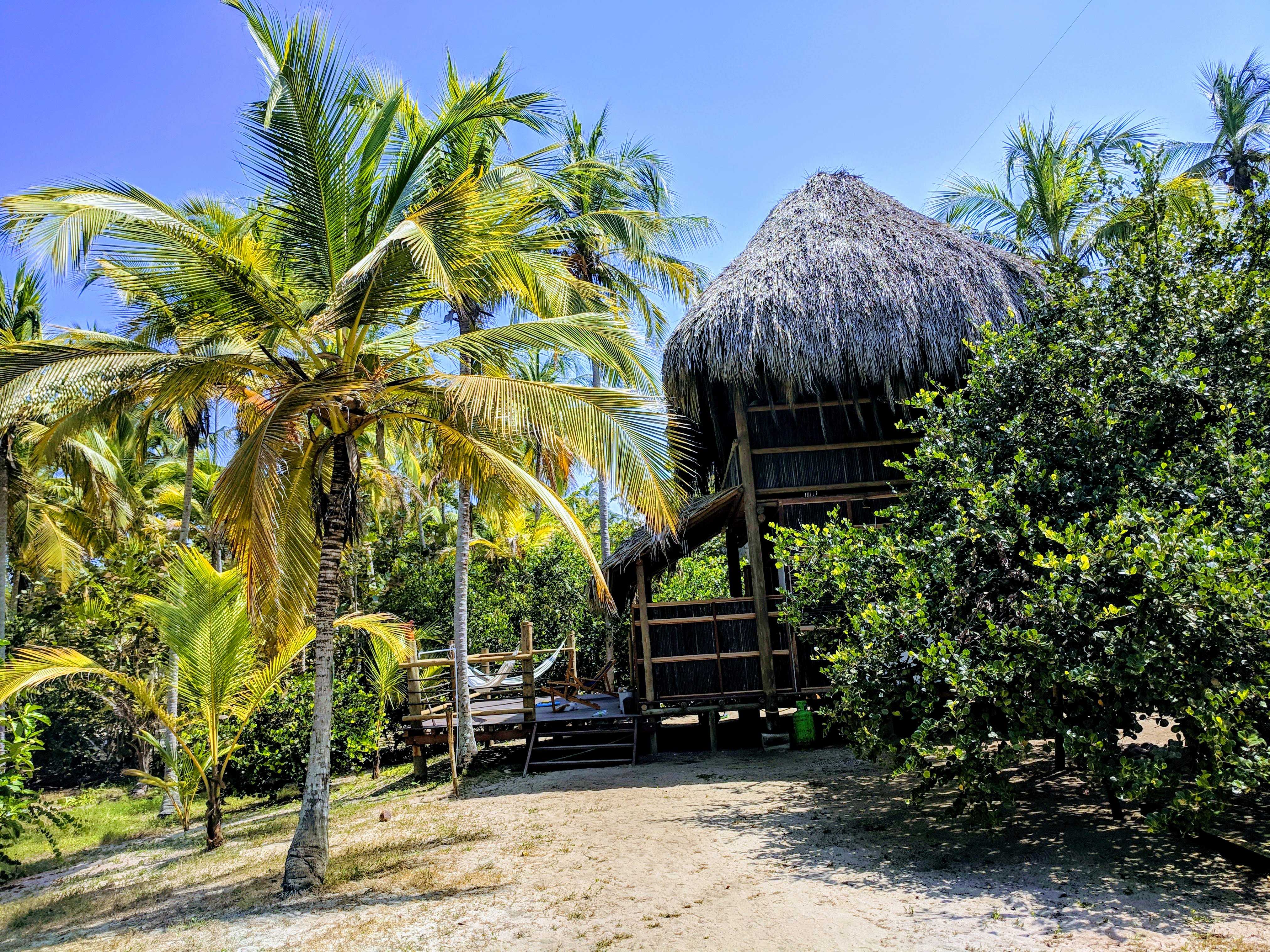 IMG_20190128_122047-EFFECTS