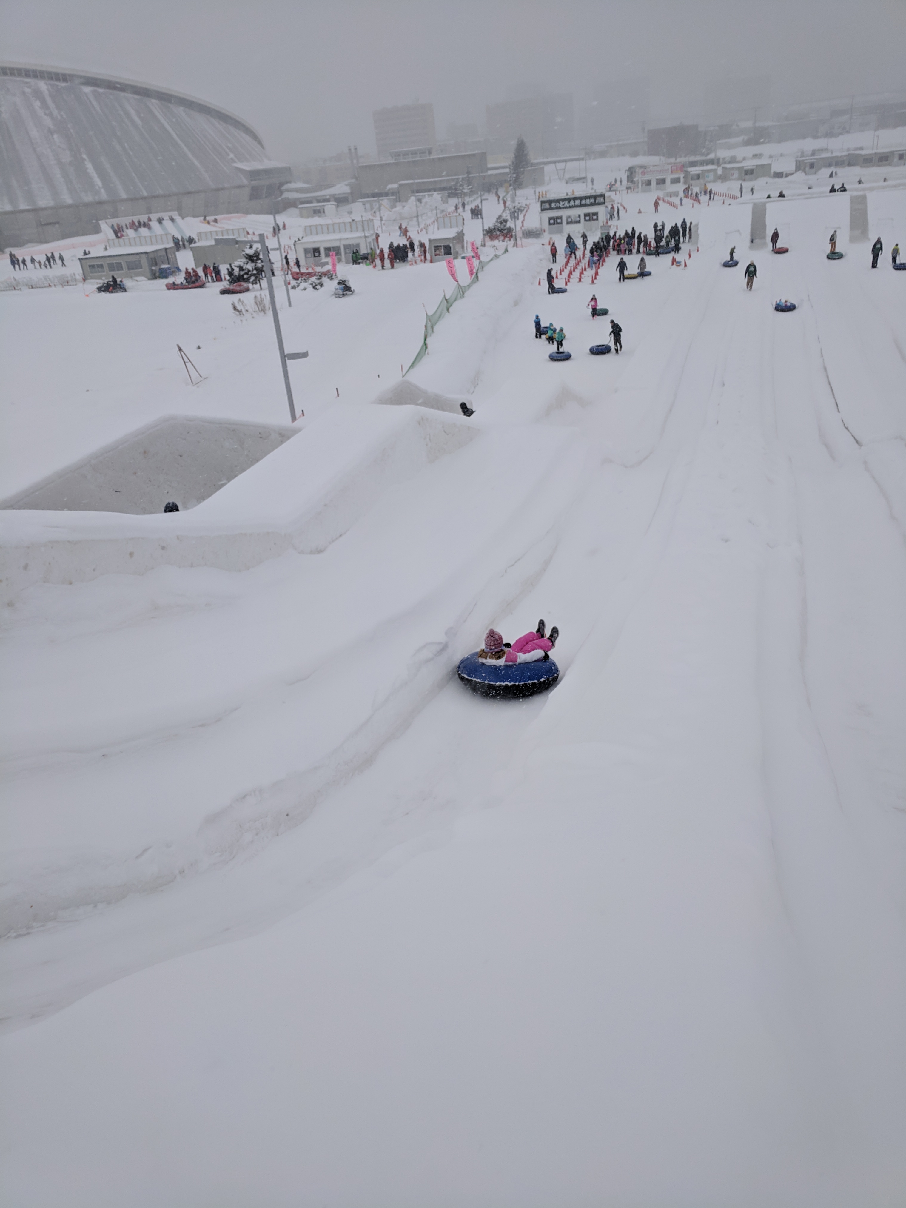 Highlights from the family site