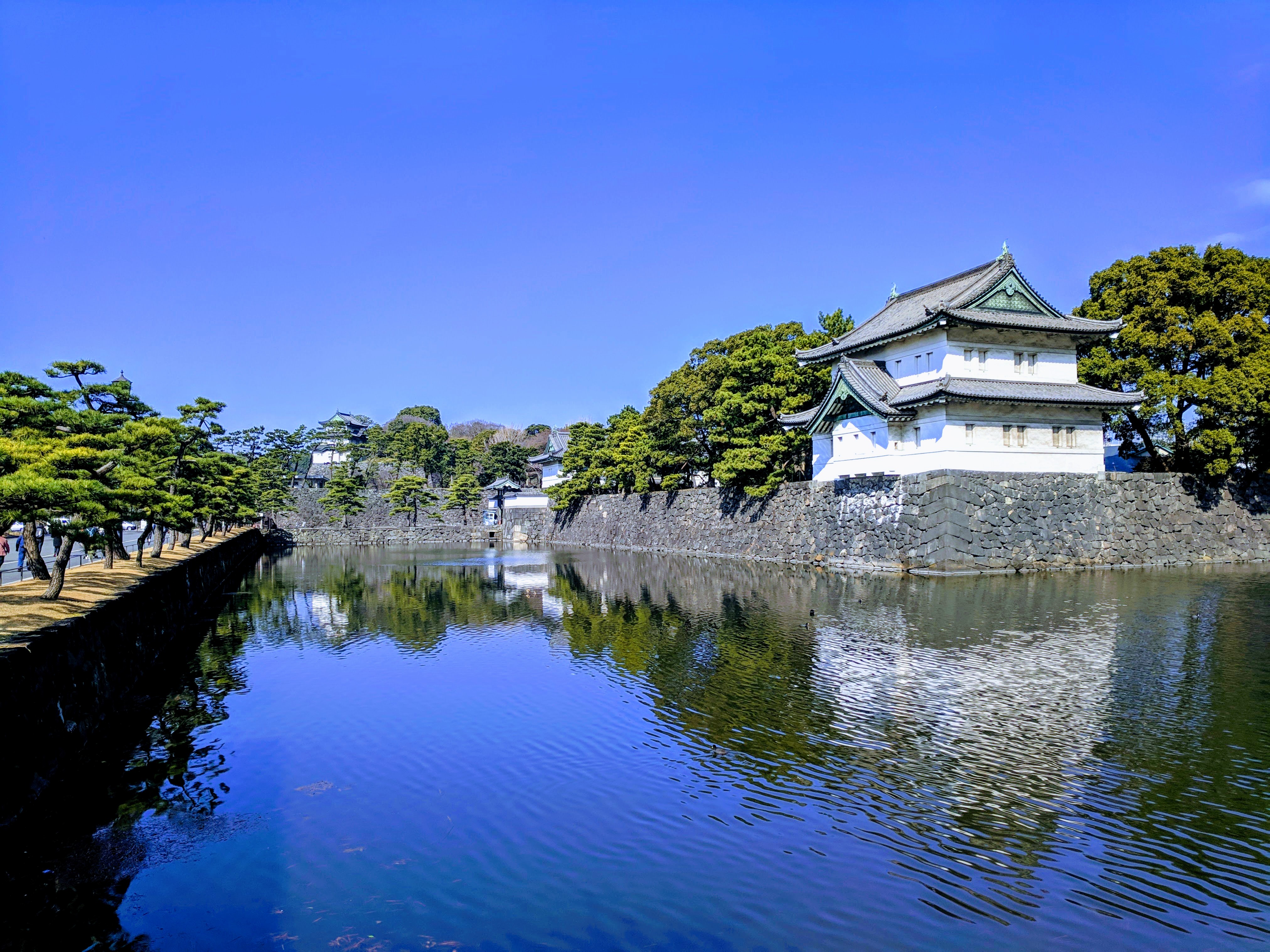 IMG_20190305_095033-EFFECTS