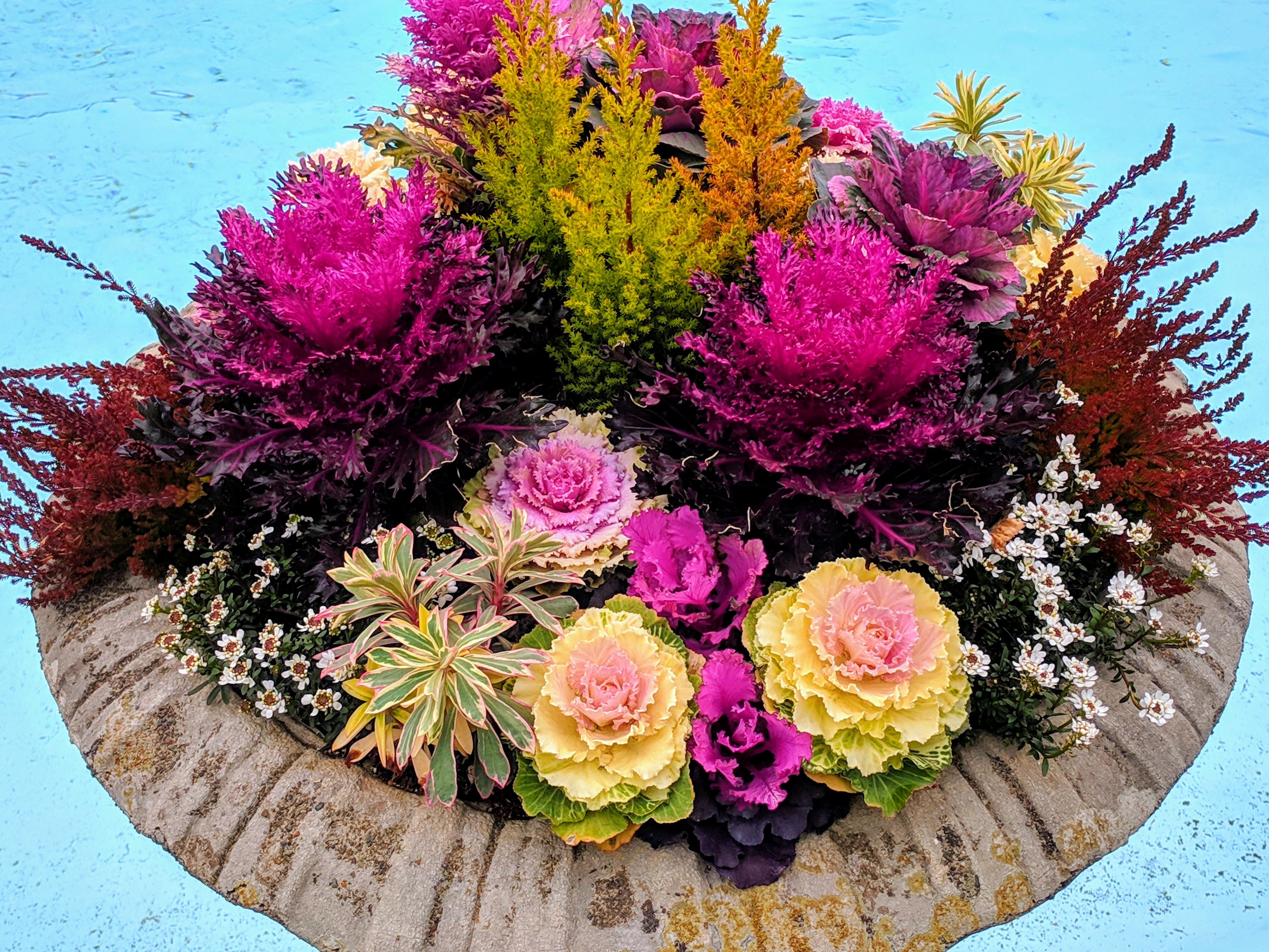 IMG_20190310_114558-EFFECTS