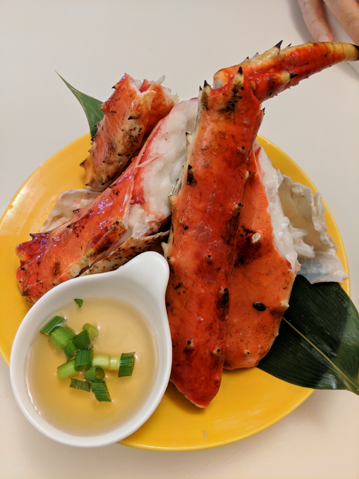 WhatsApp Image 2019-02-27 at 17.45.58