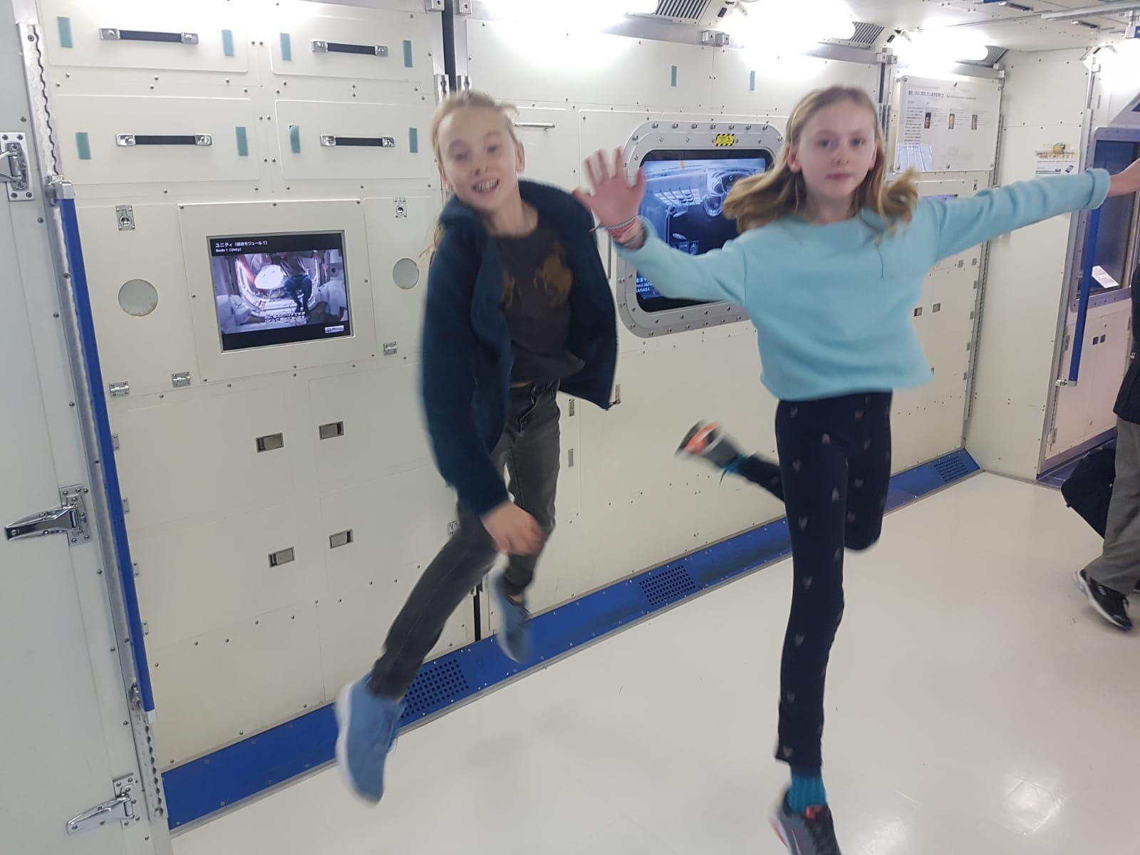 WhatsApp Image 2019-03-08 at 12.45.10(1)