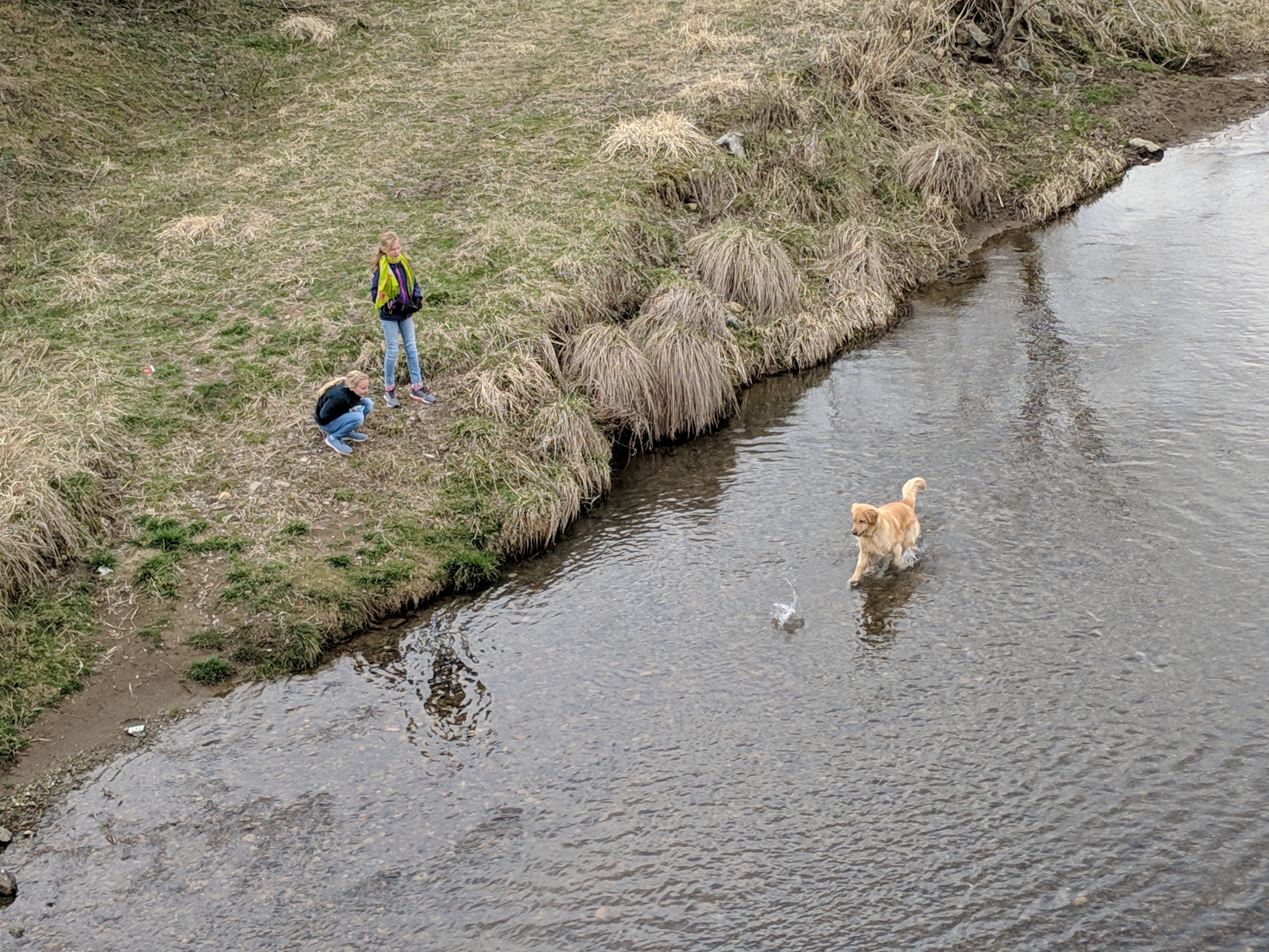 IMG_20190323_120731_1