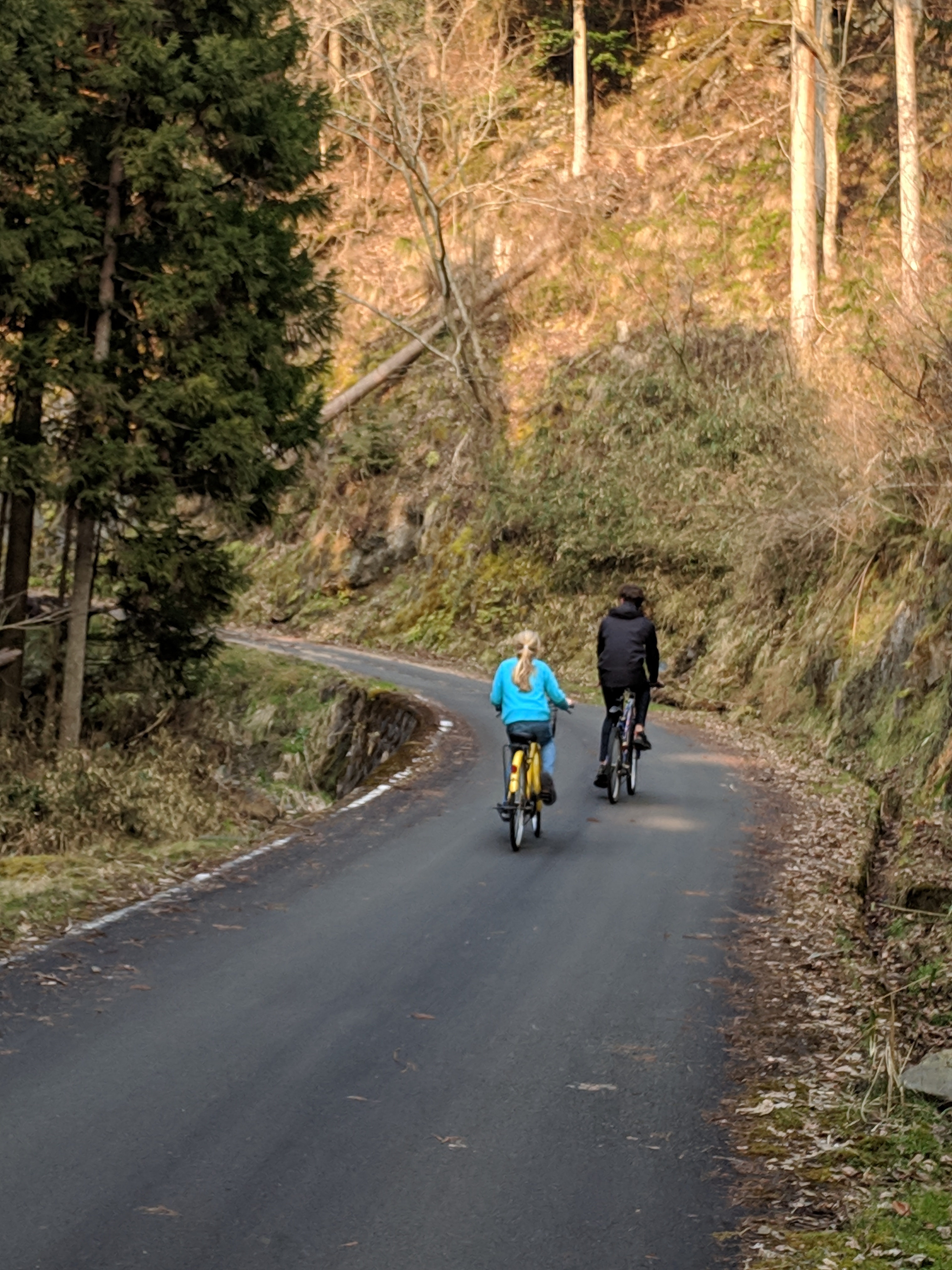 IMG_20190326_161836_1