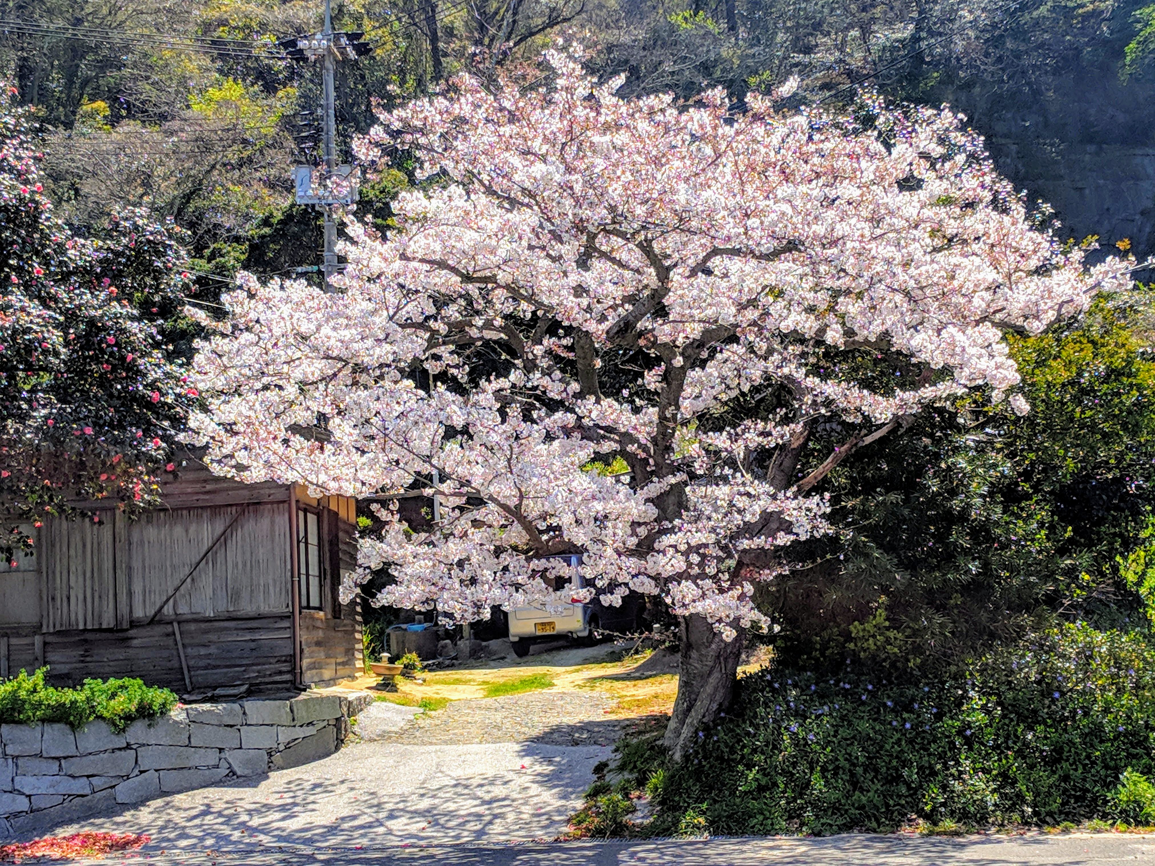 IMG_20190404_123643-EFFECTS