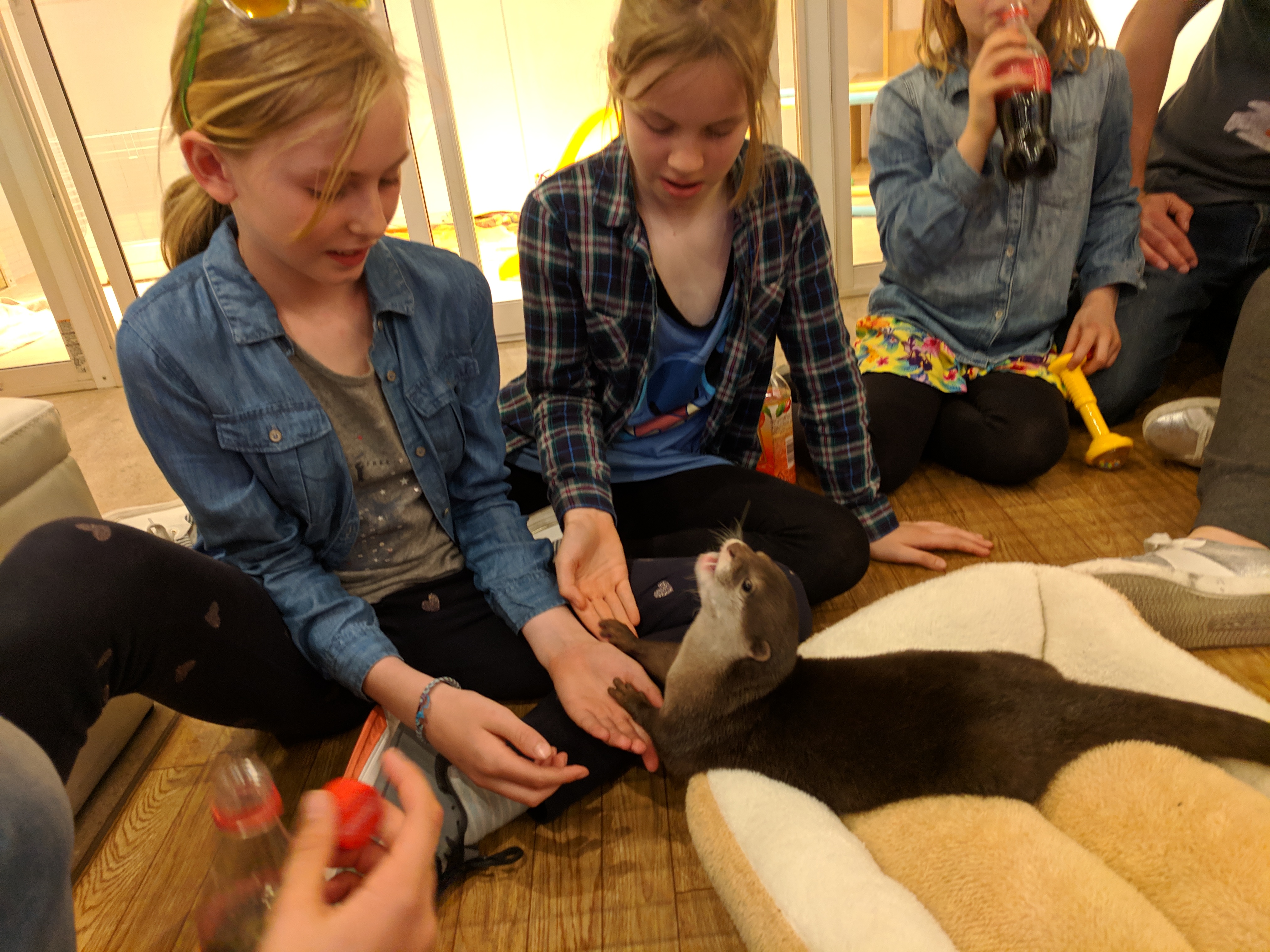 IMG_20190413_152909_1