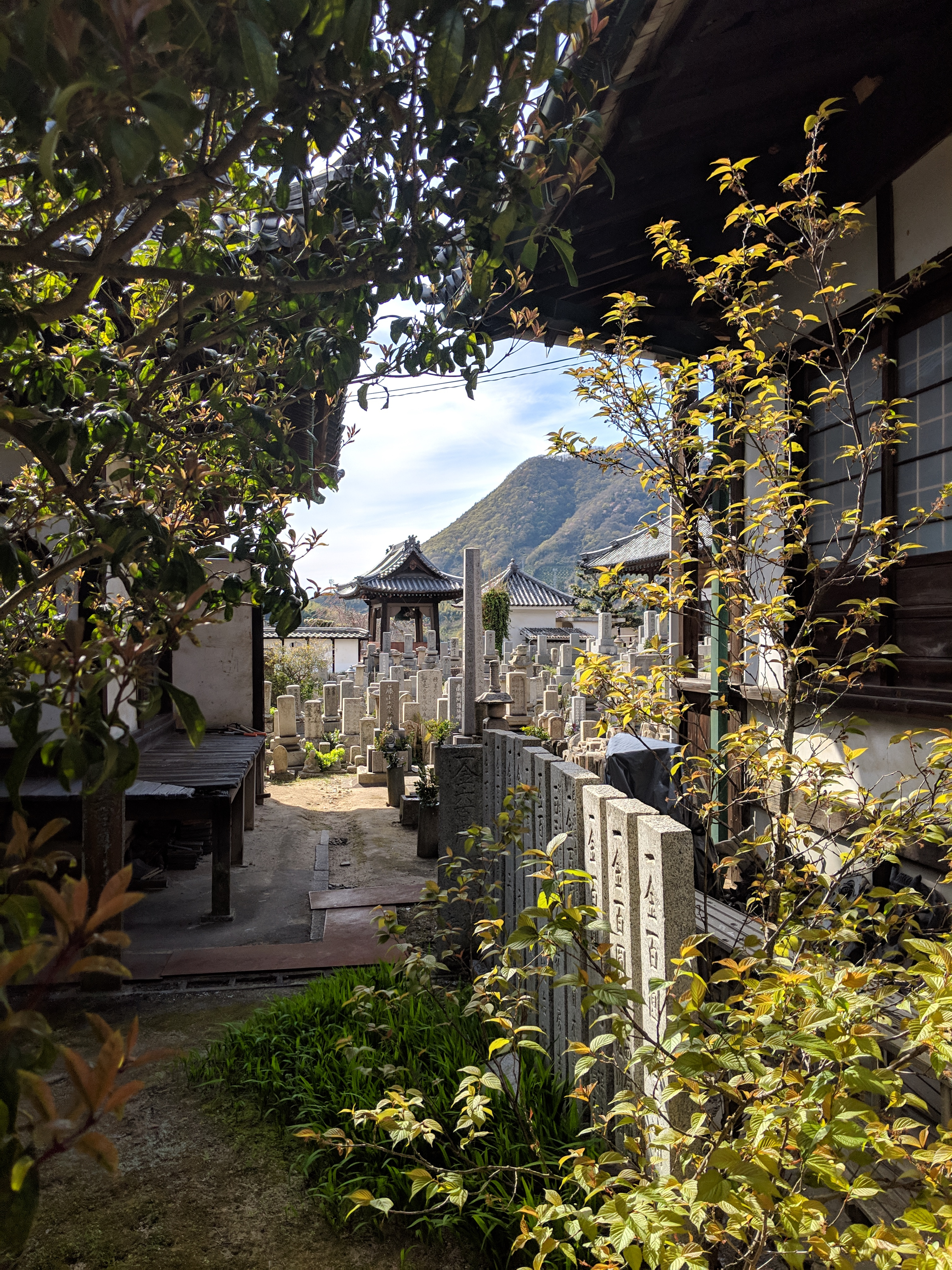 MVIMG_20190405_145737