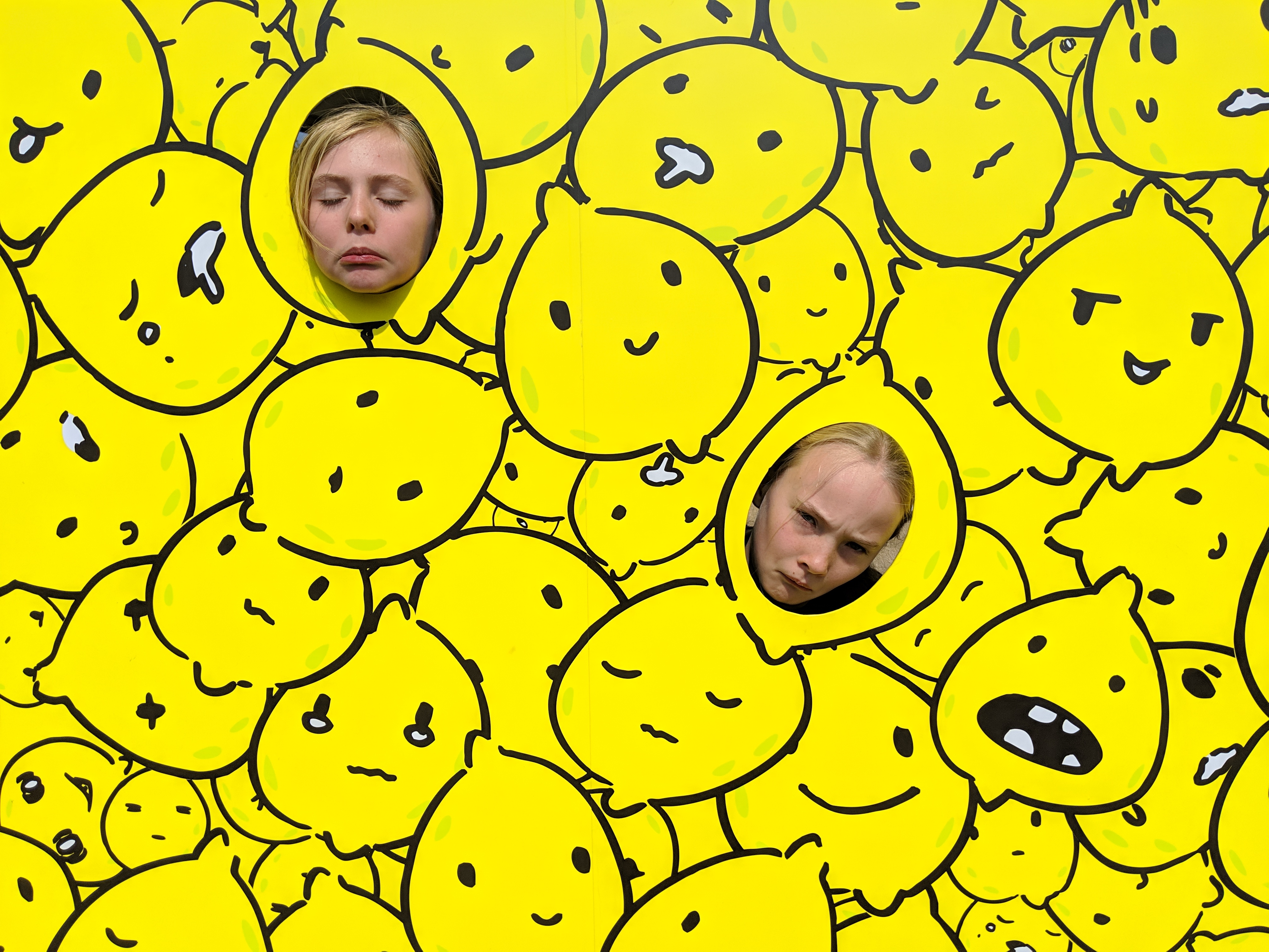 MVIMG_20190406_094446