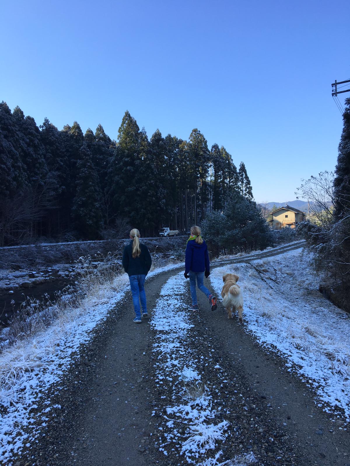 WhatsApp Image 2019-04-14 at 10.47.09