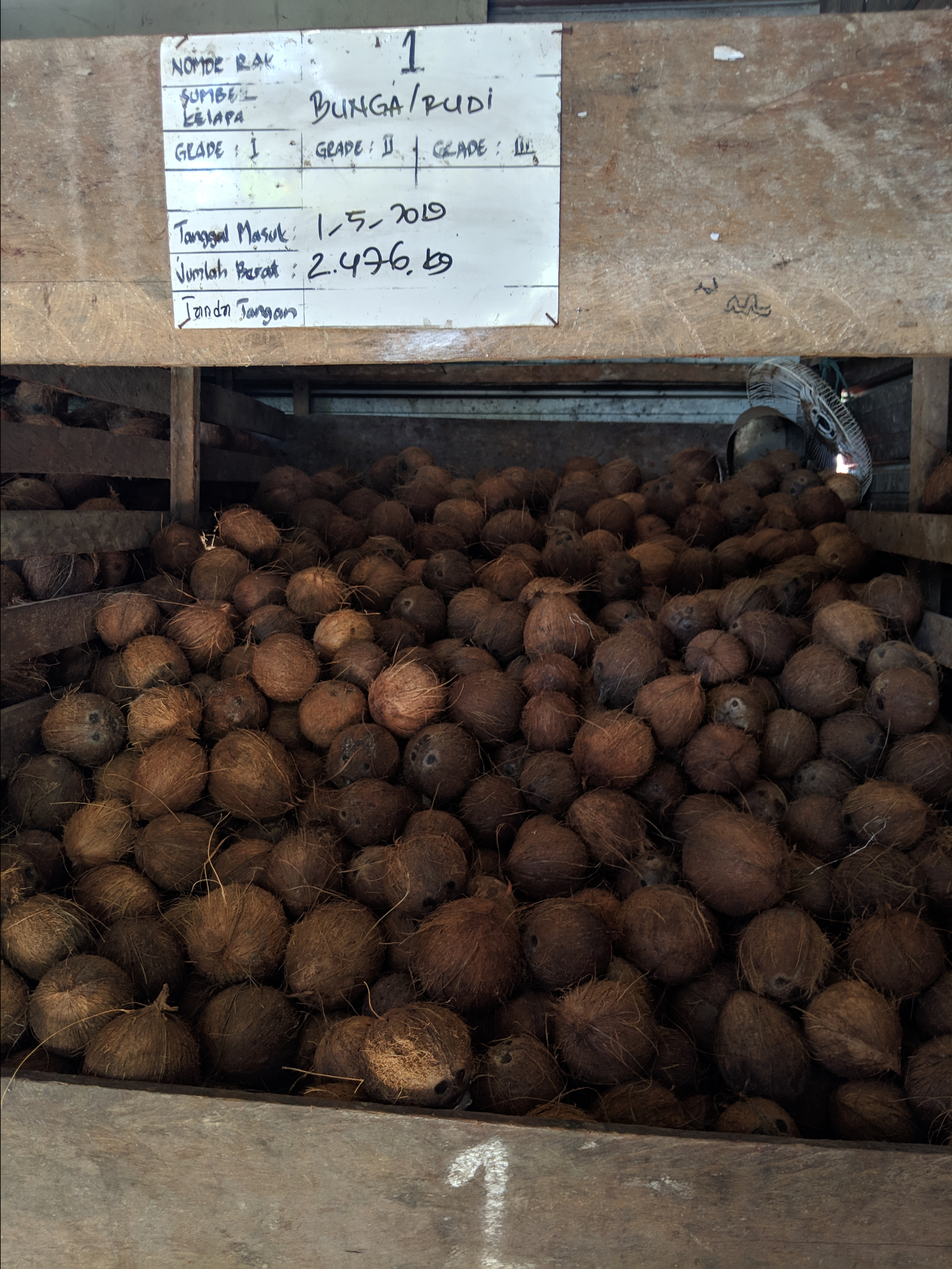 What 2.5 tonnes of coconuts looks like