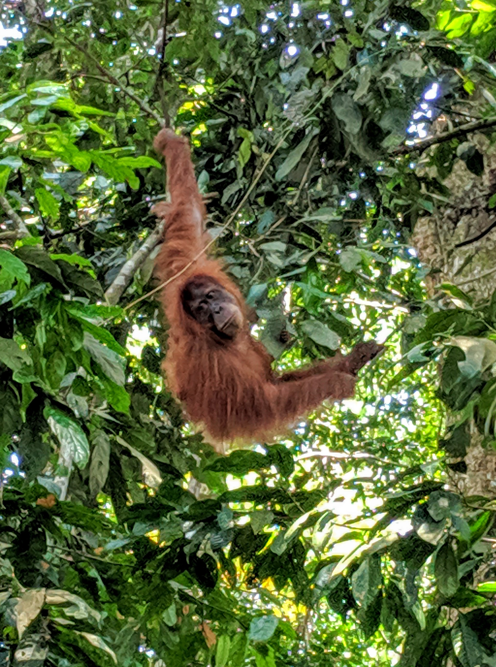 IMG_20190514_134054_1