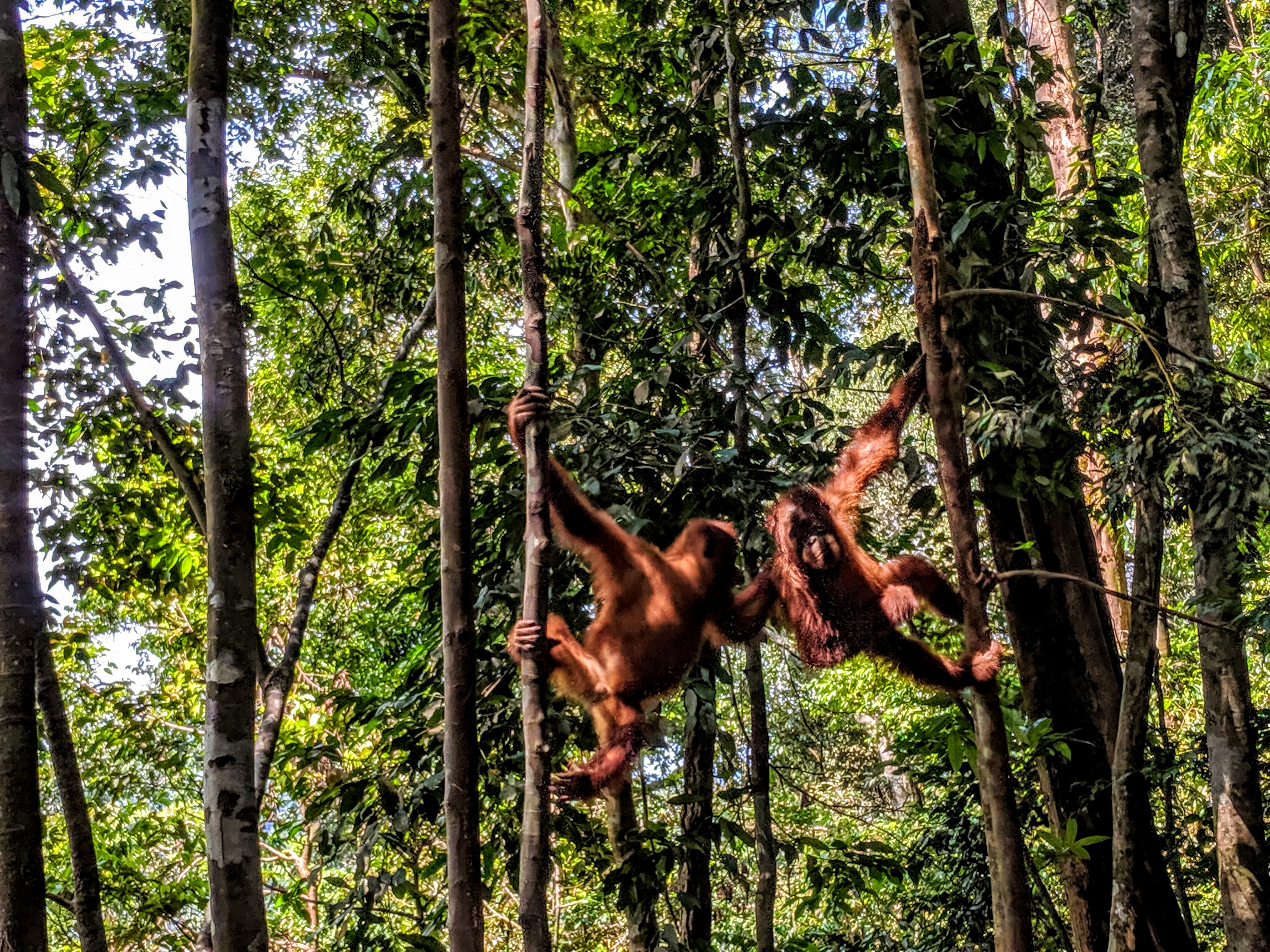 IMG_20190514_135323_1