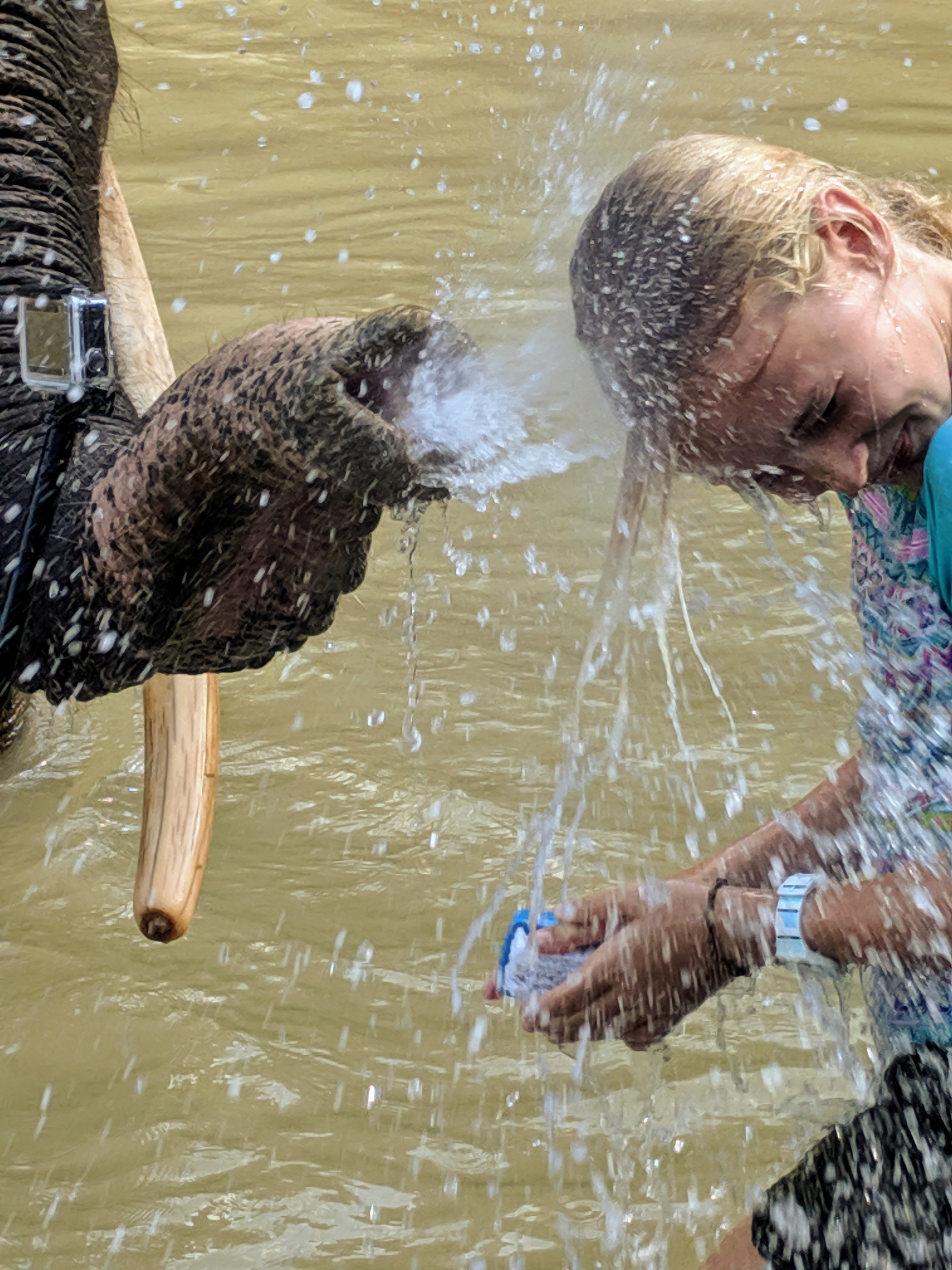 IMG_20190516_160541_1