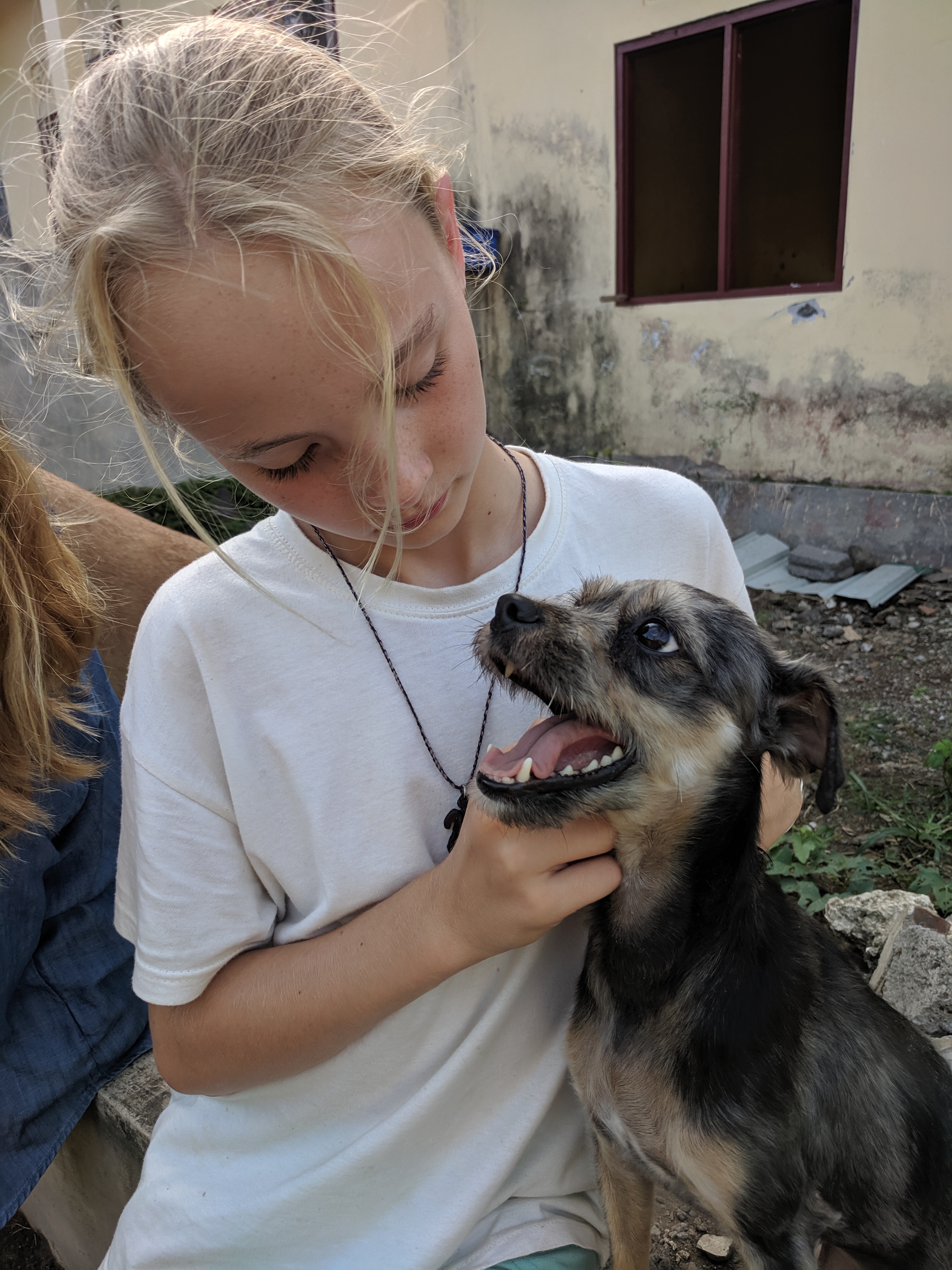 IMG_20190523_161534_1