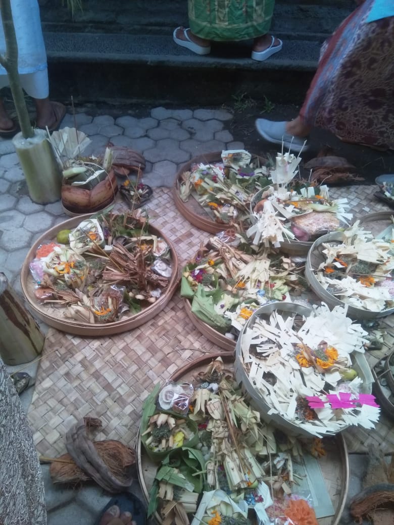 WhatsApp Image 2019-06-08 at 13.24.13