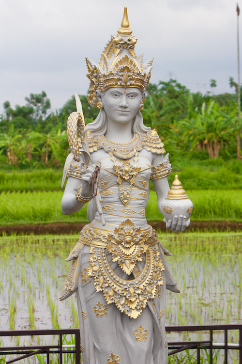 rice-and-fertility-goddess-dewi-sri-bali