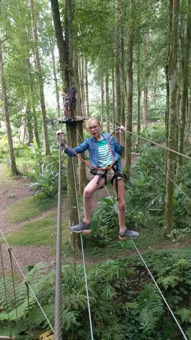 vid_20190608_155550_dvd.original