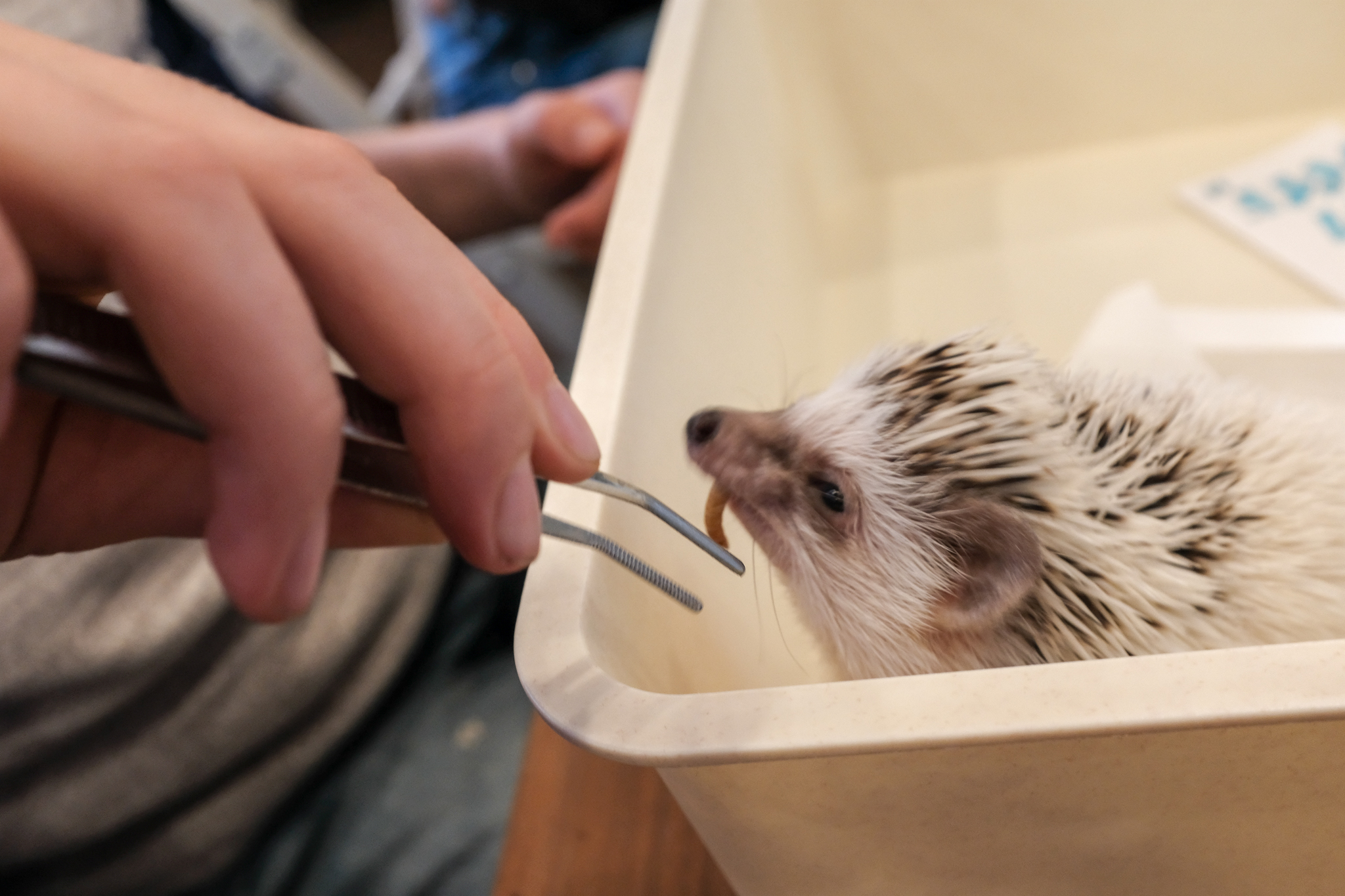 190319-Japan portraits-66