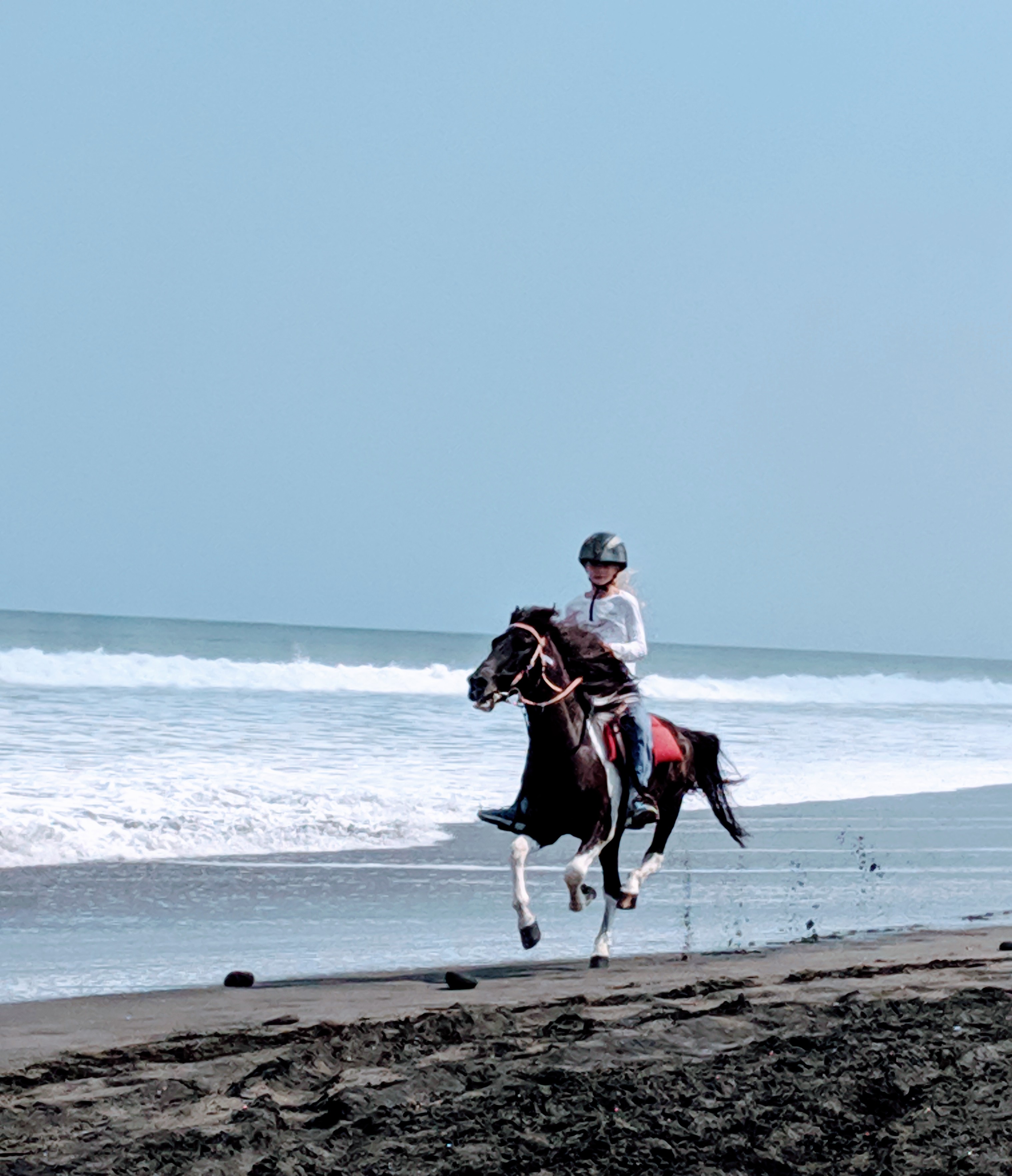 IMG_20190622_112718_1