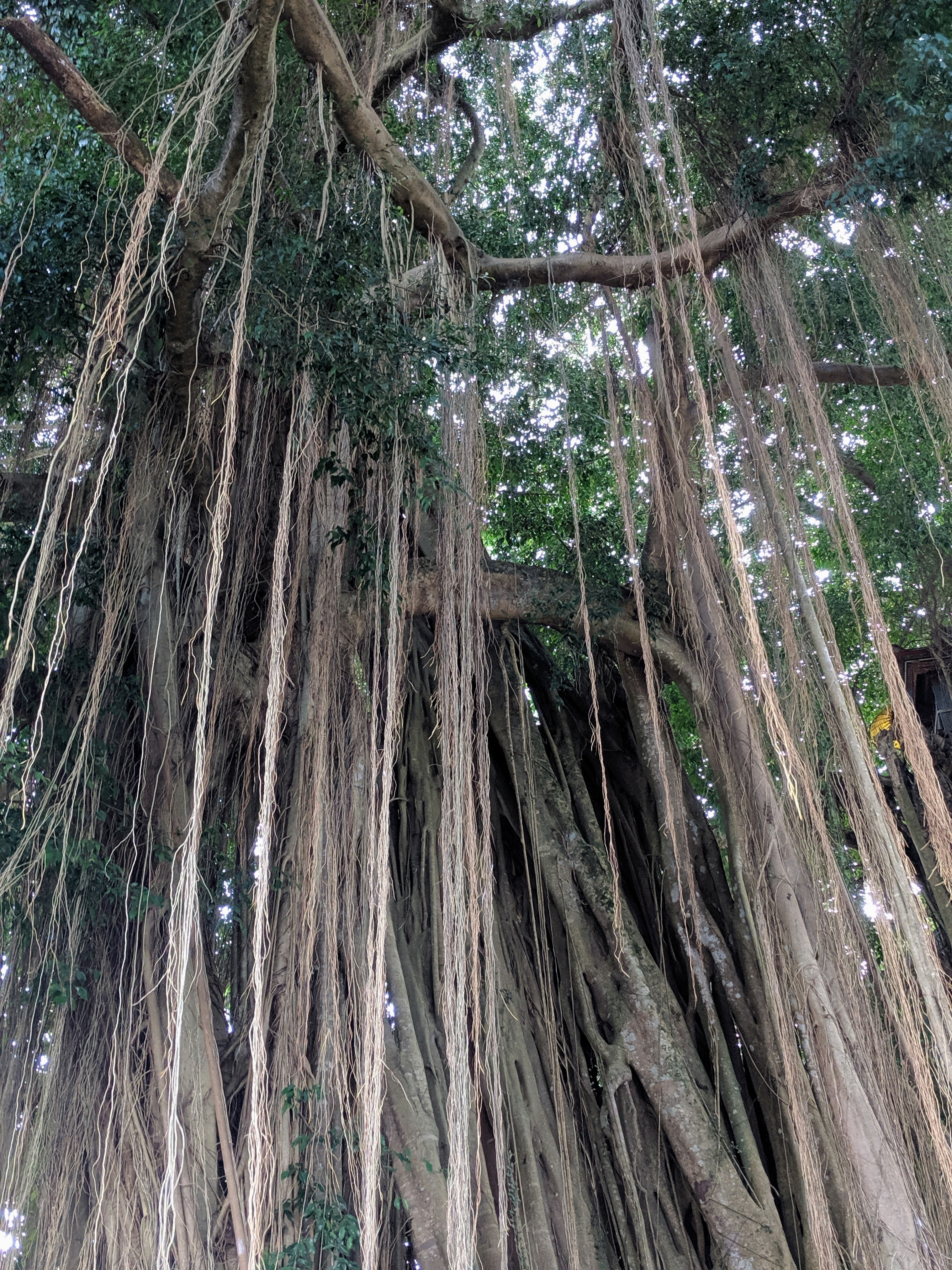 IMG_20190625_161218 (1)