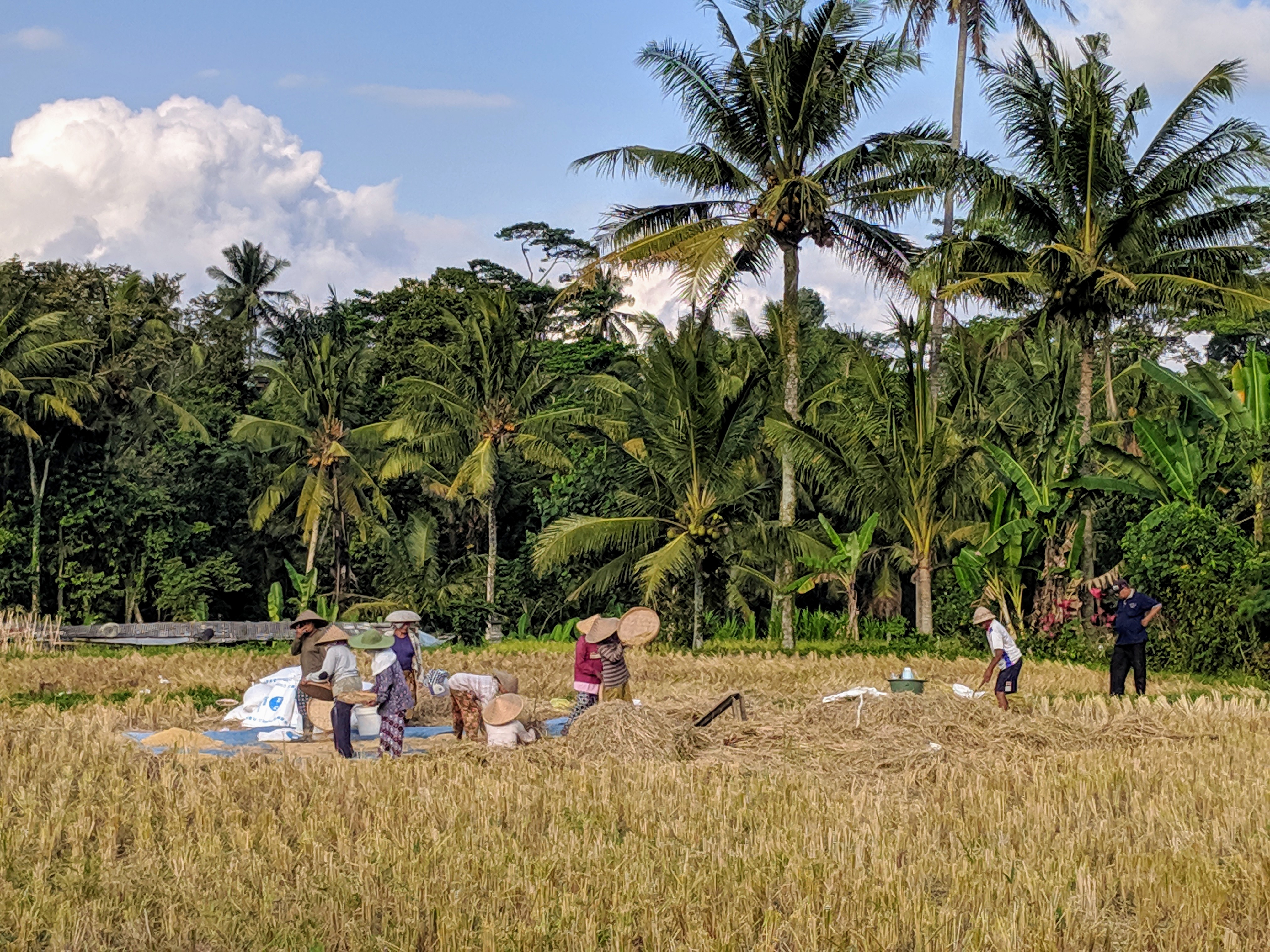 IMG_20190625_161914 (1)