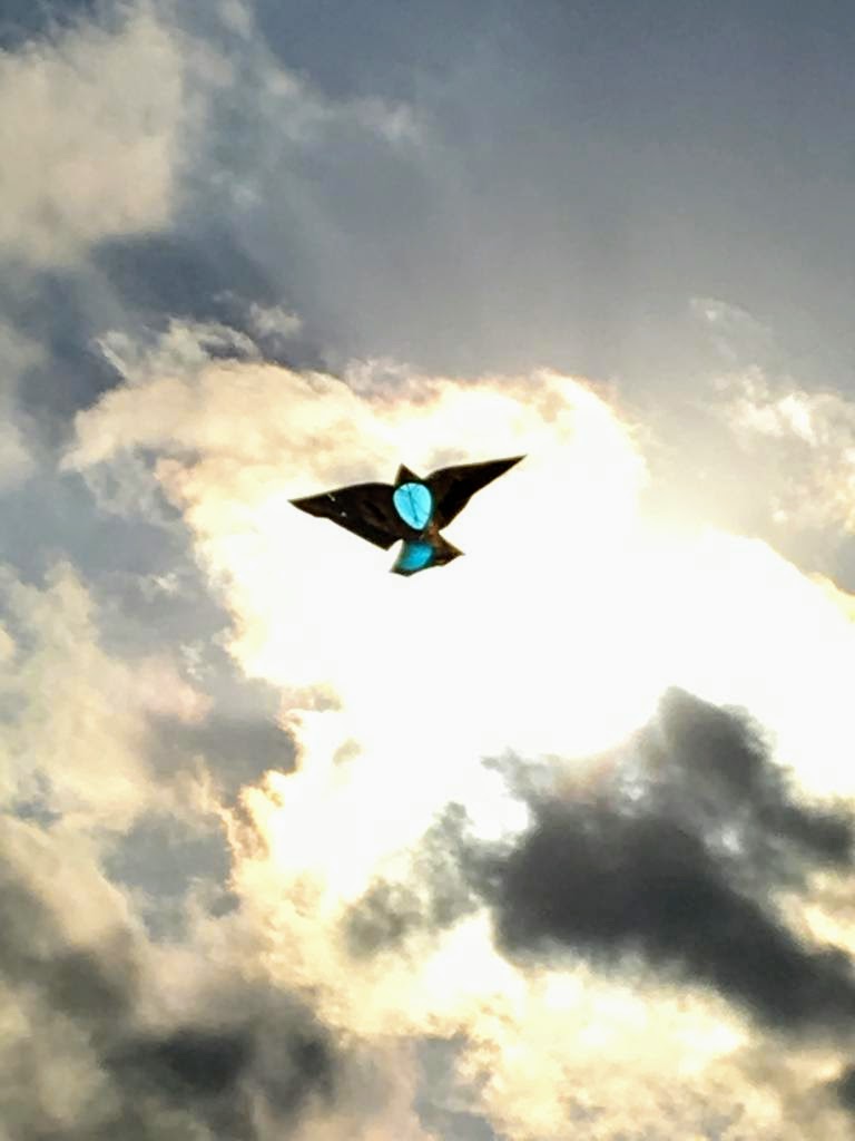 WhatsApp Image 2019-06-27 at 21.11.56(8)