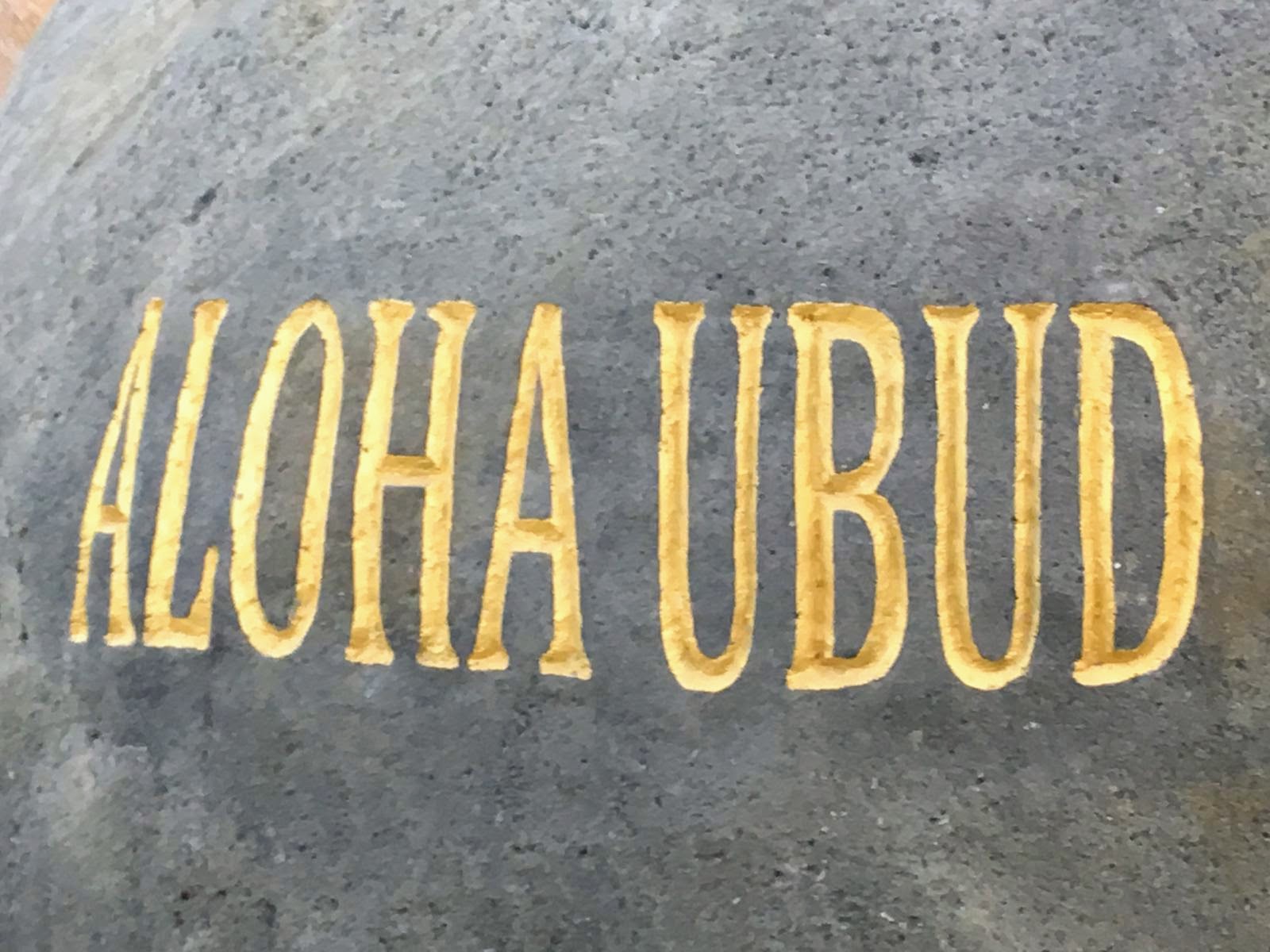 WhatsApp Image 2019-06-29 at 22.13.02(2)