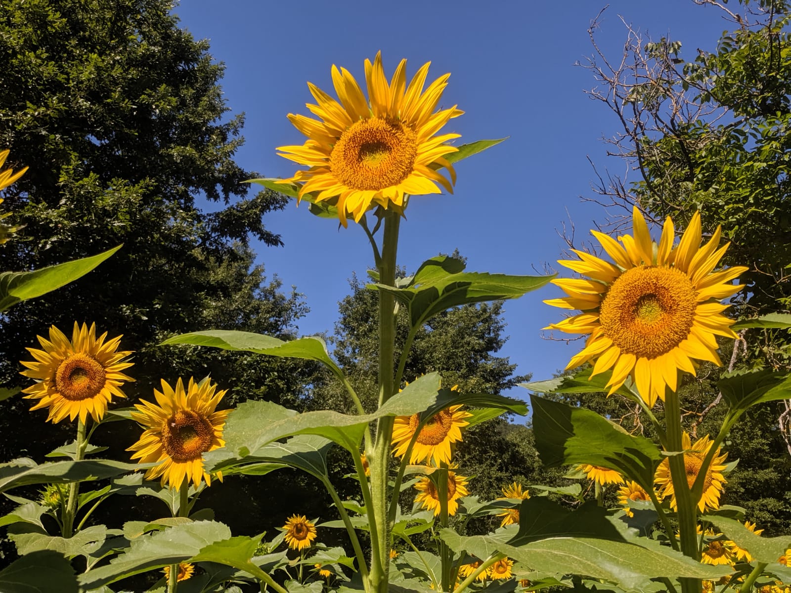 WhatsApp Image 2019-08-11 at 13.34.00